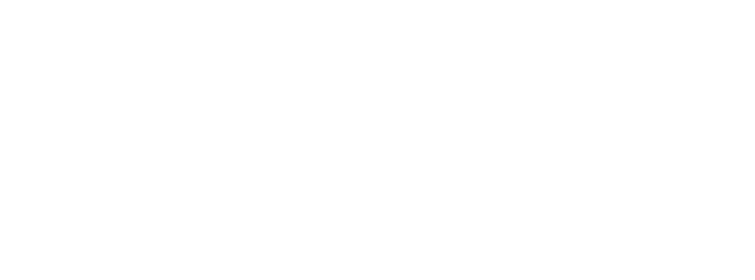CHamsys-Logo-white.png