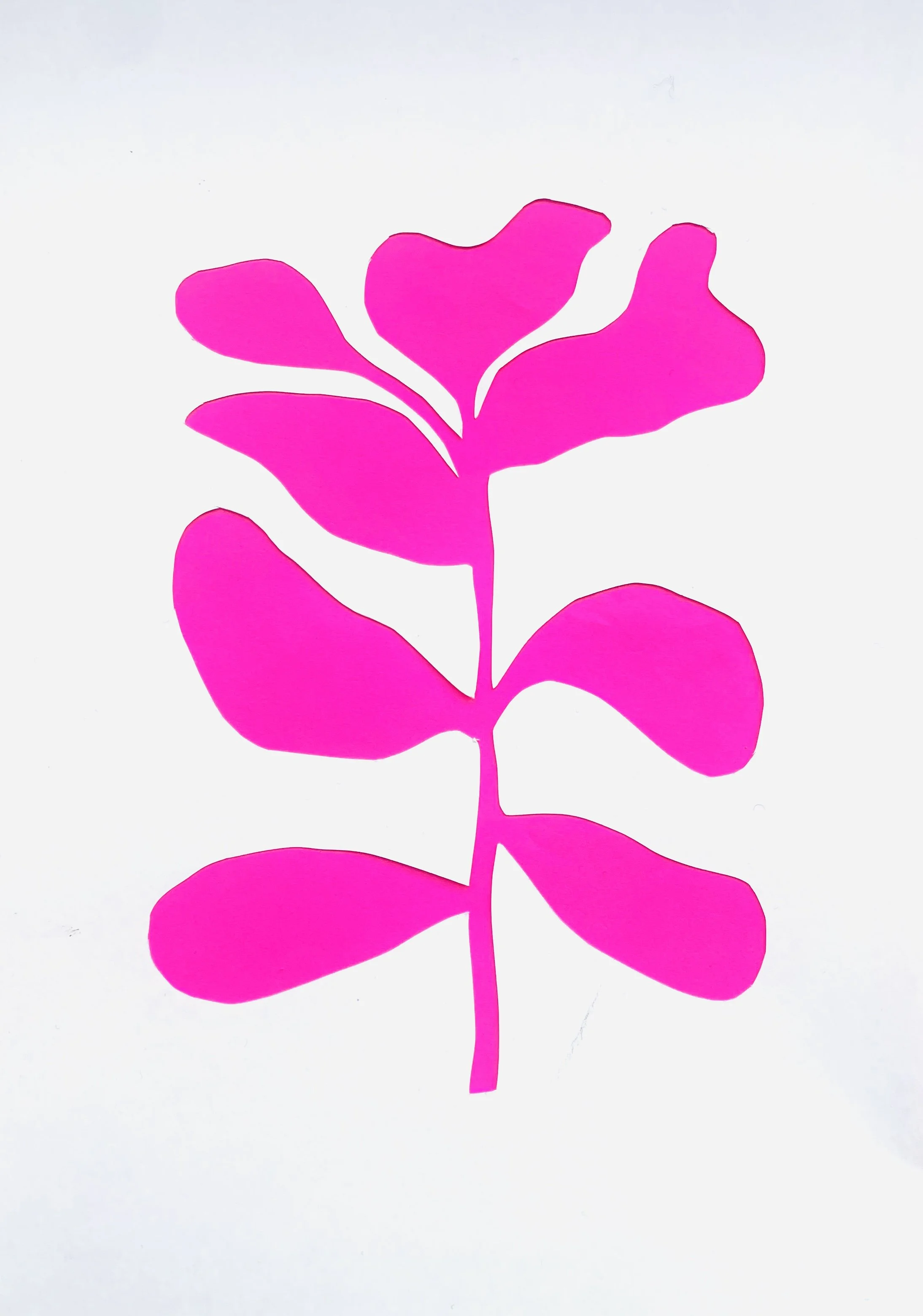 Creative Process &amp; Development | January 2025&nbsp;