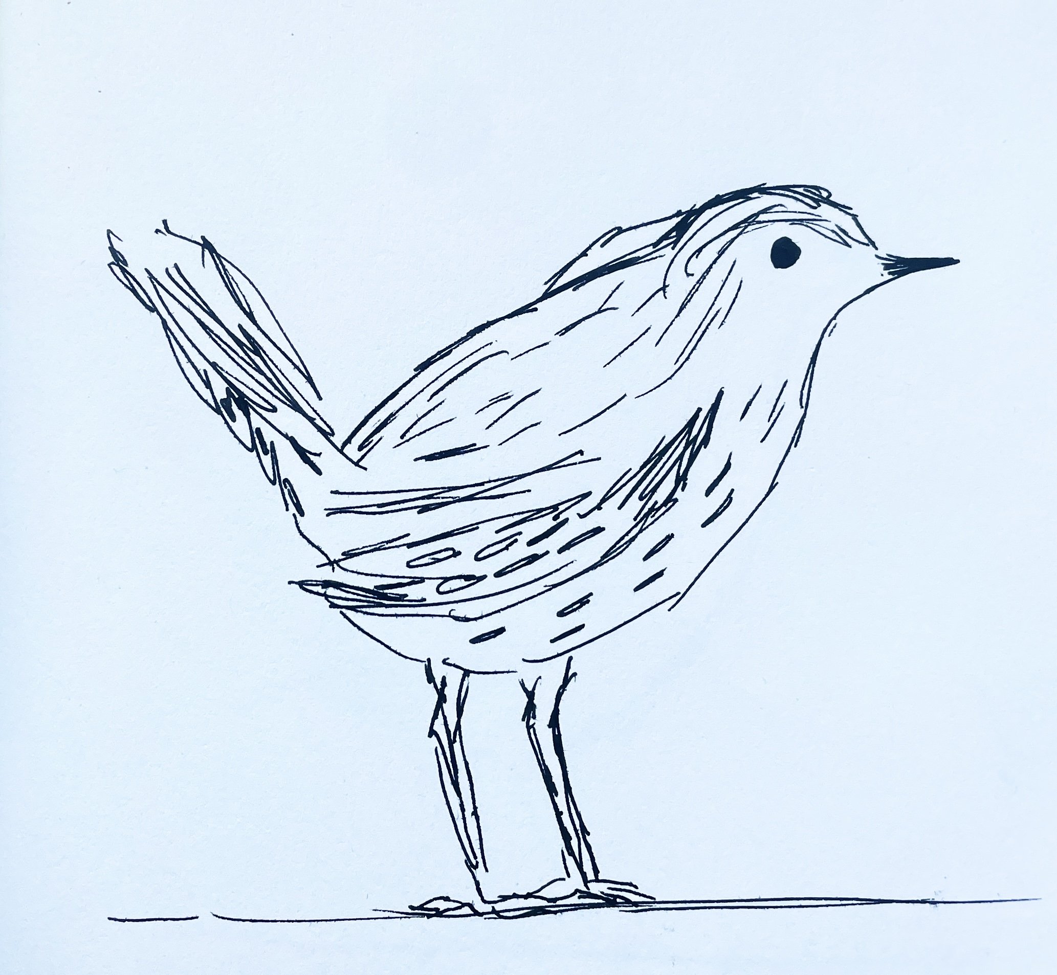 Creative Process &amp; Development | February 2025