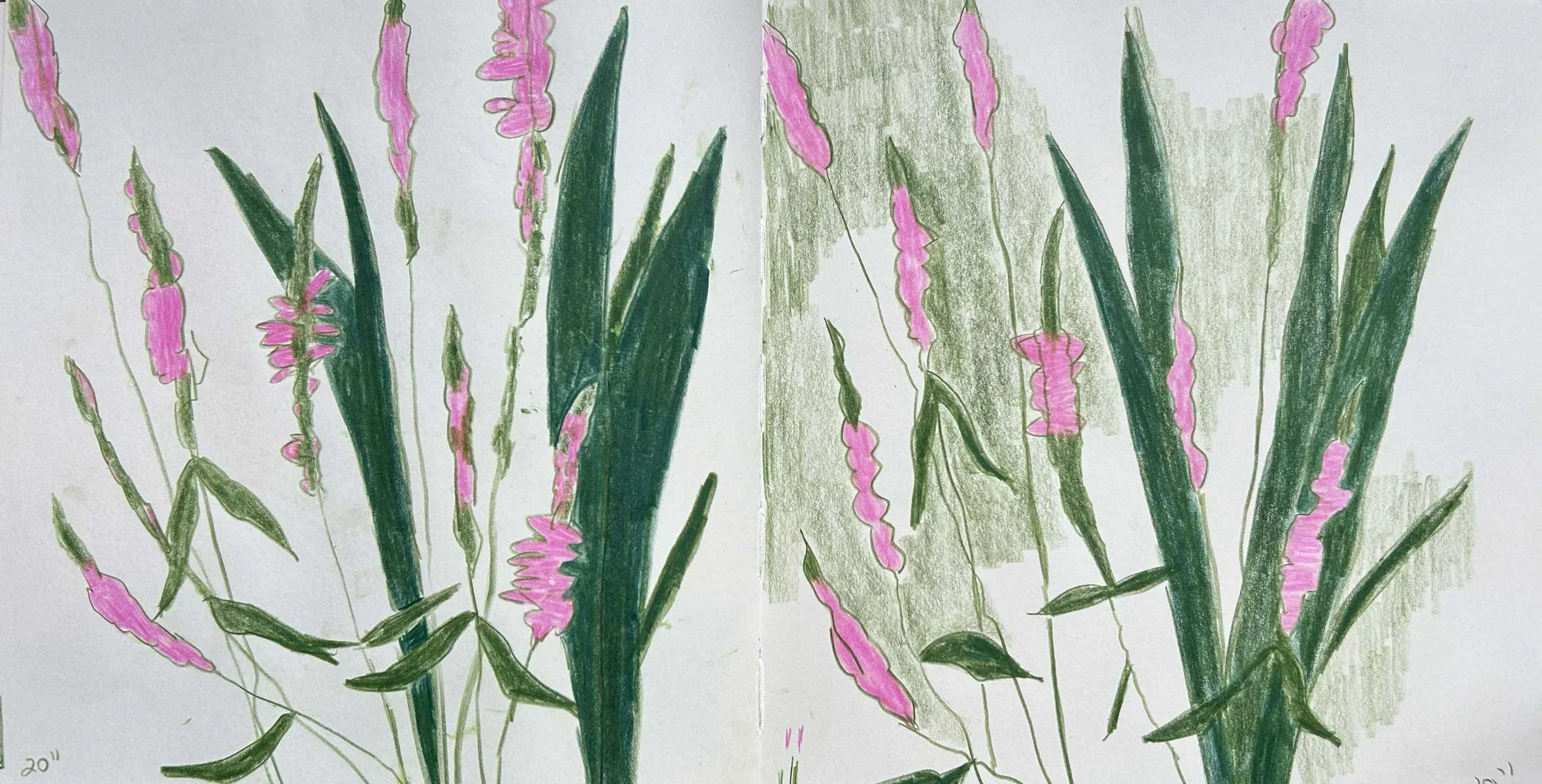 Flowers_6_wide.jpg