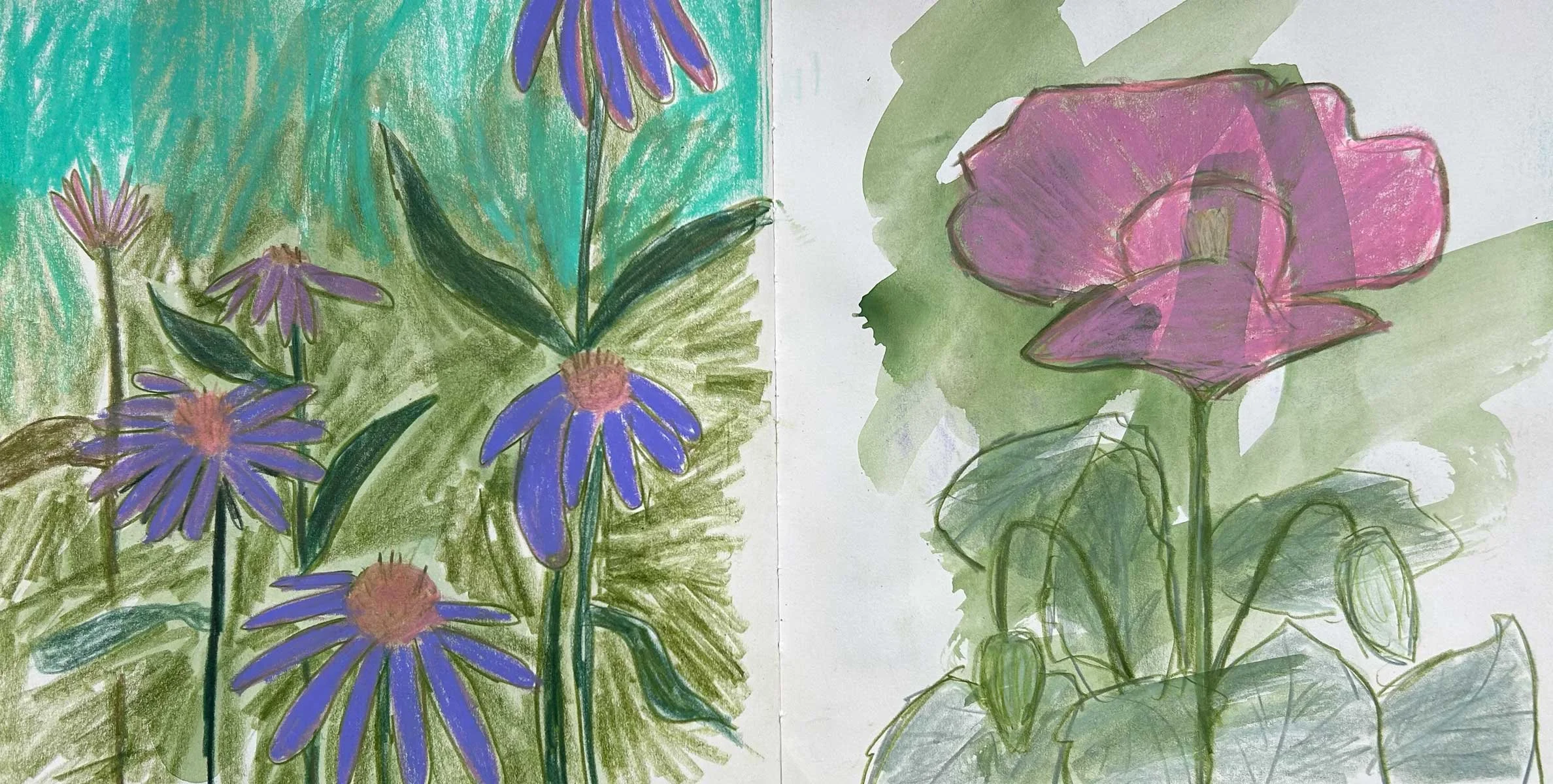 Flowers_7_wide.jpg