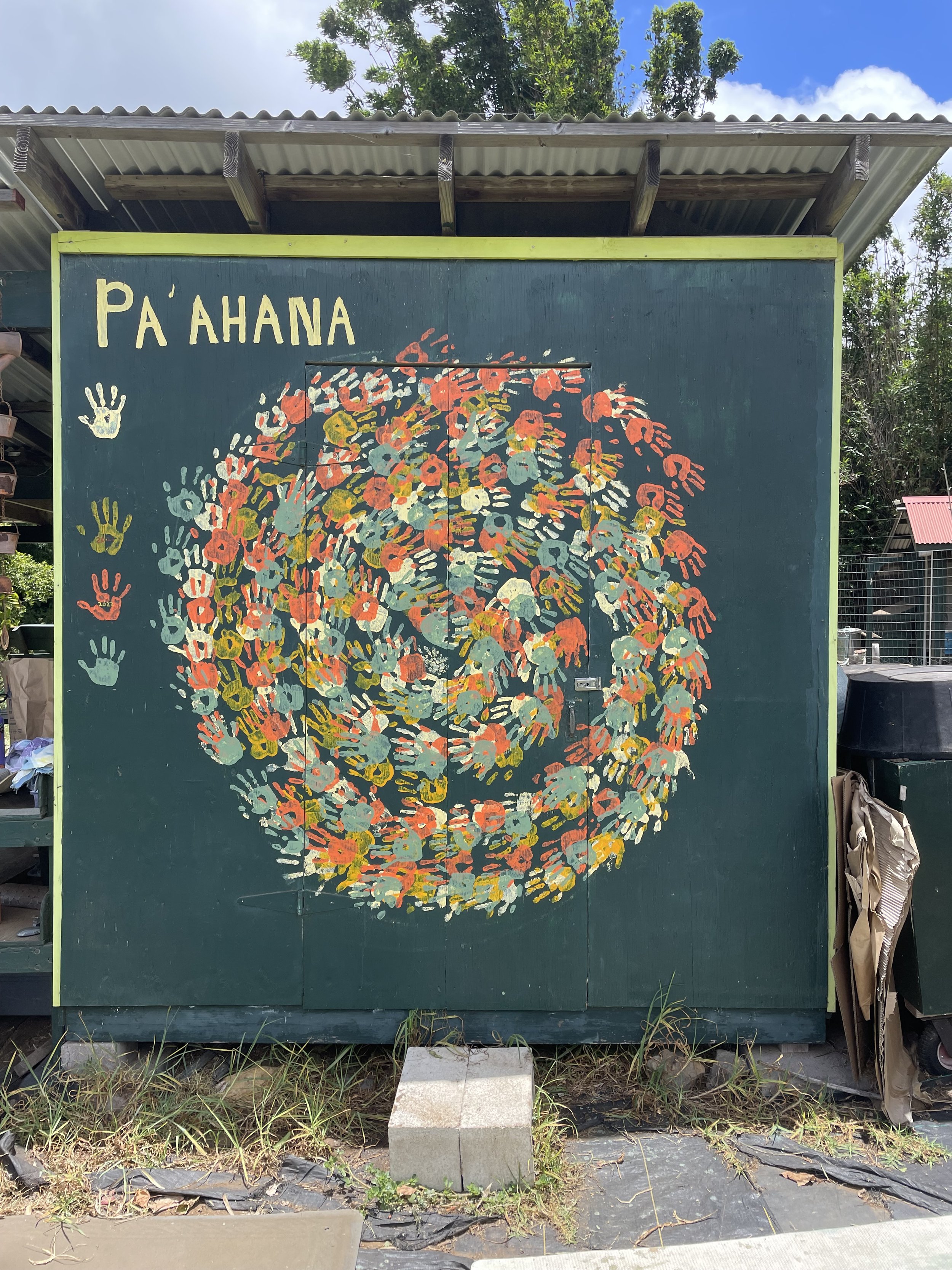 Paahana Circle.jpg