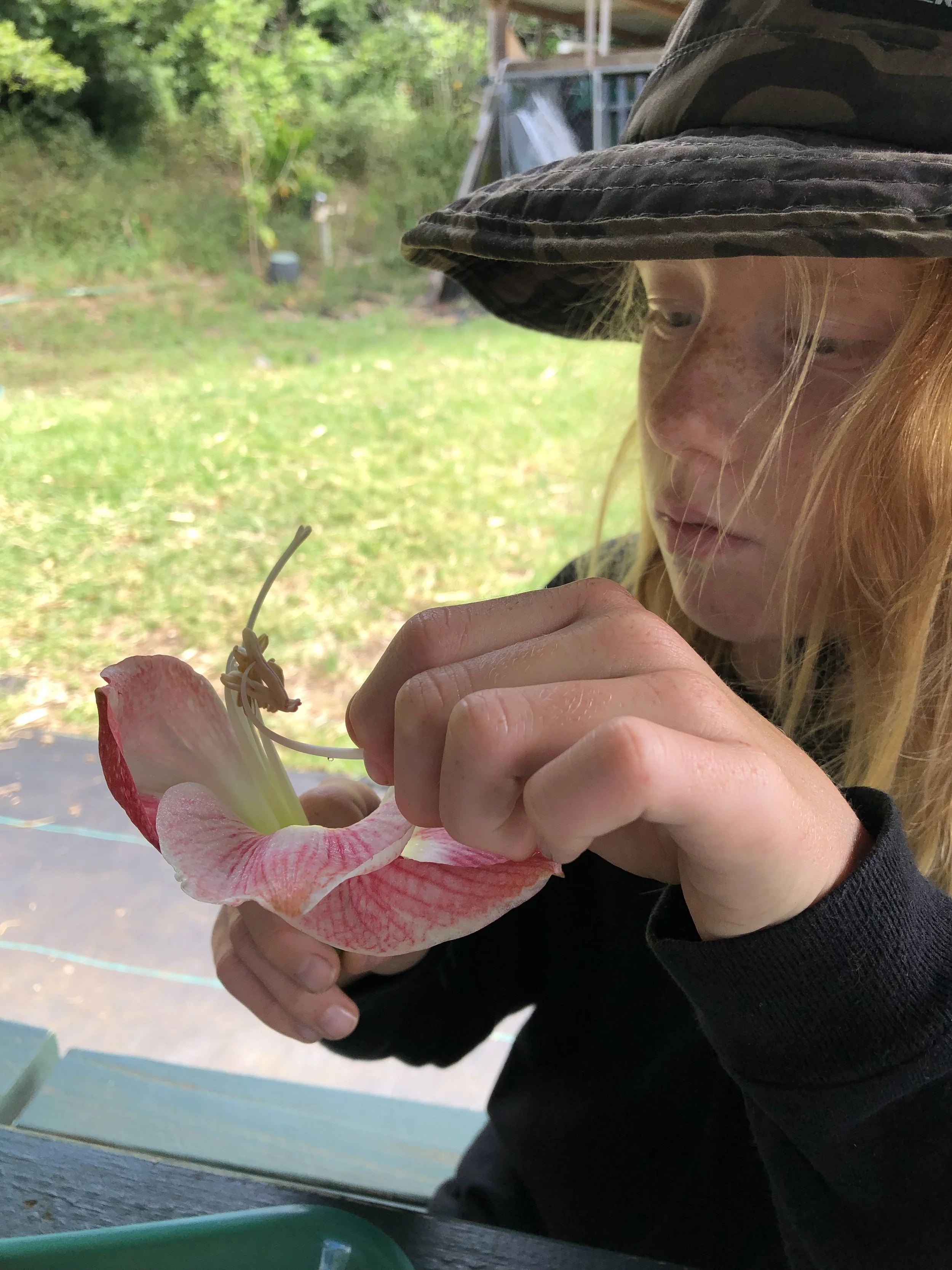 SC D2 Flower Dissection Grey..JPG