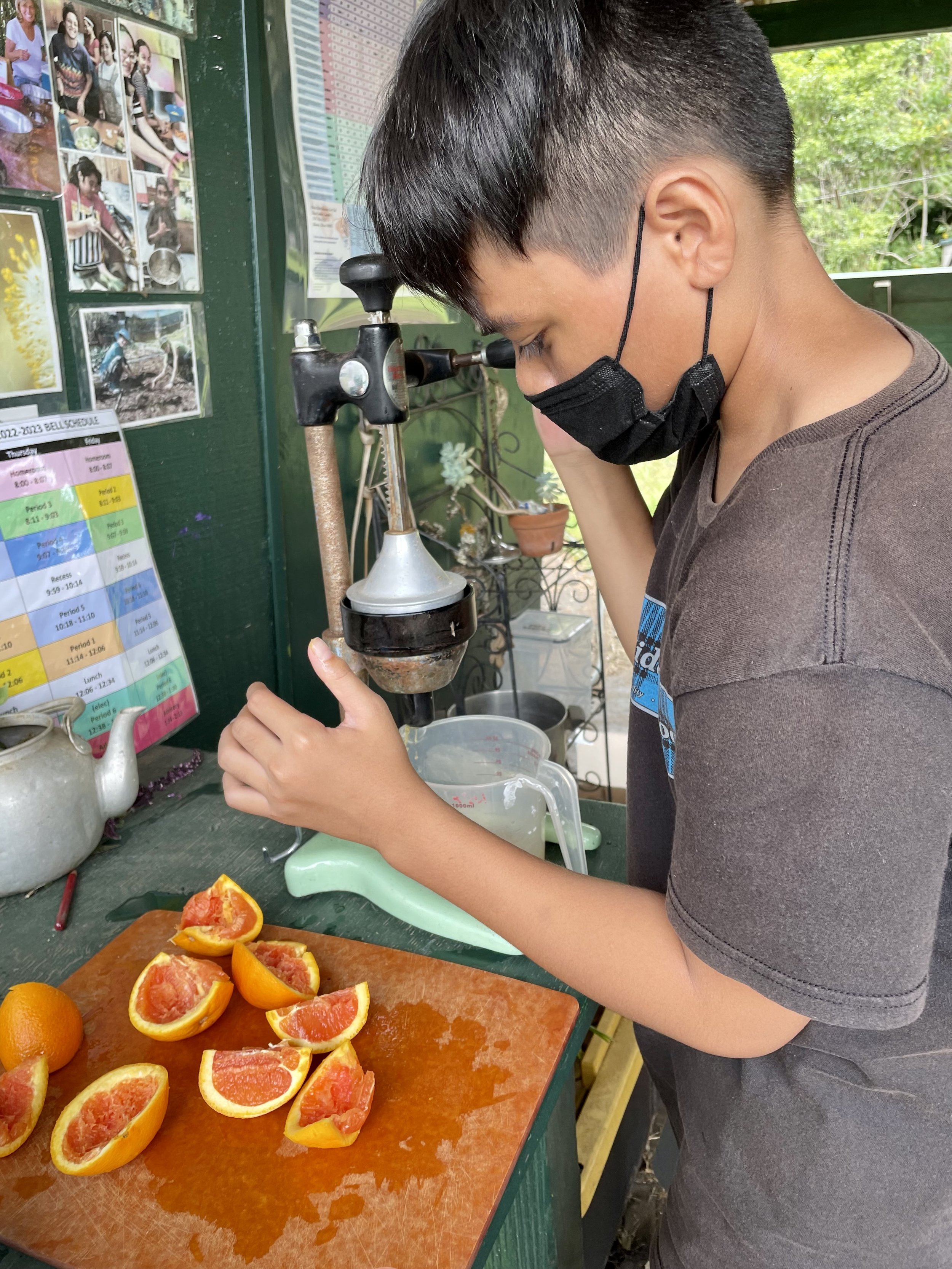 Making Orange Juice.jpg