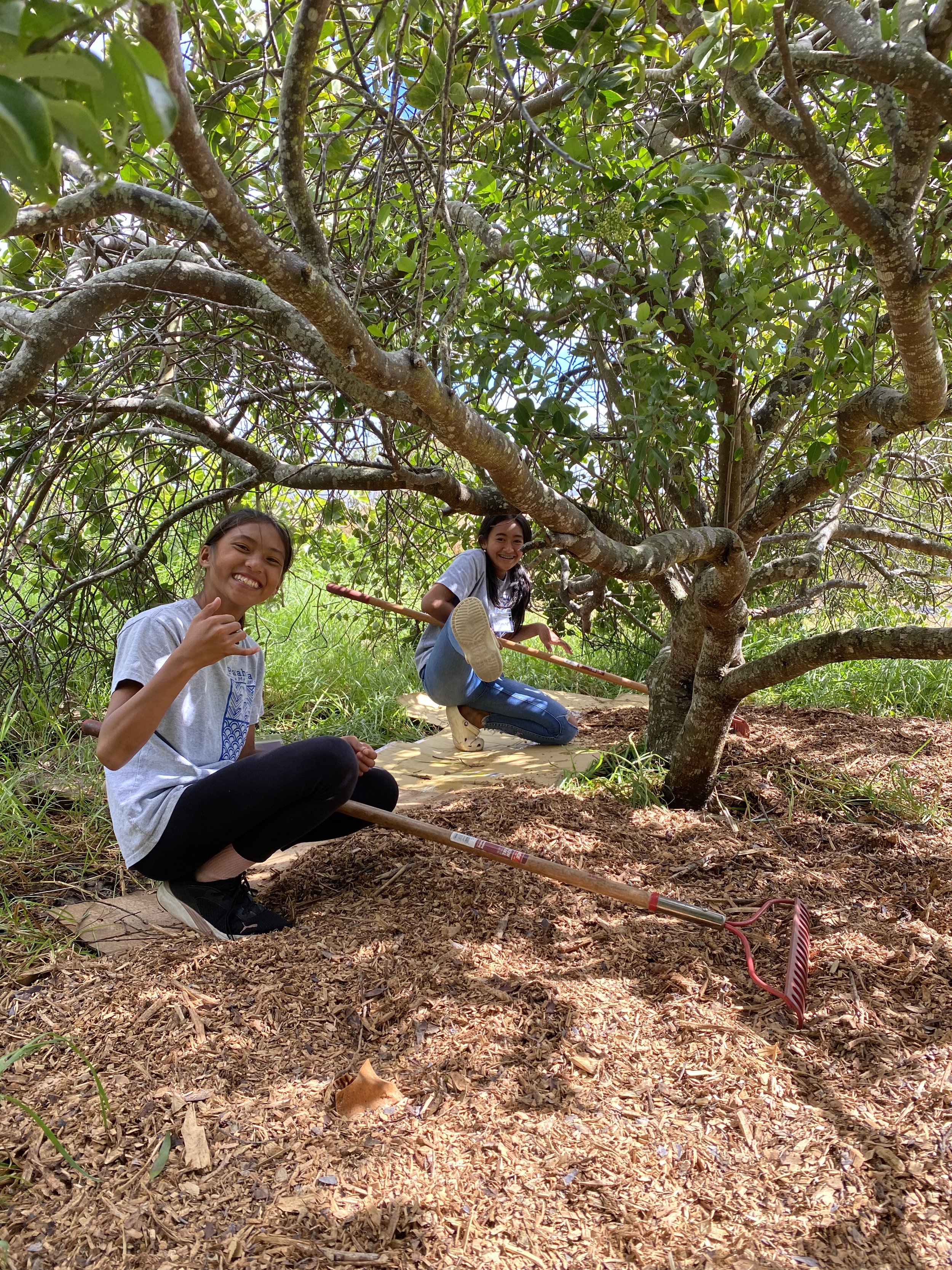 Aubrie and Jasmine Woodchipping.JPG