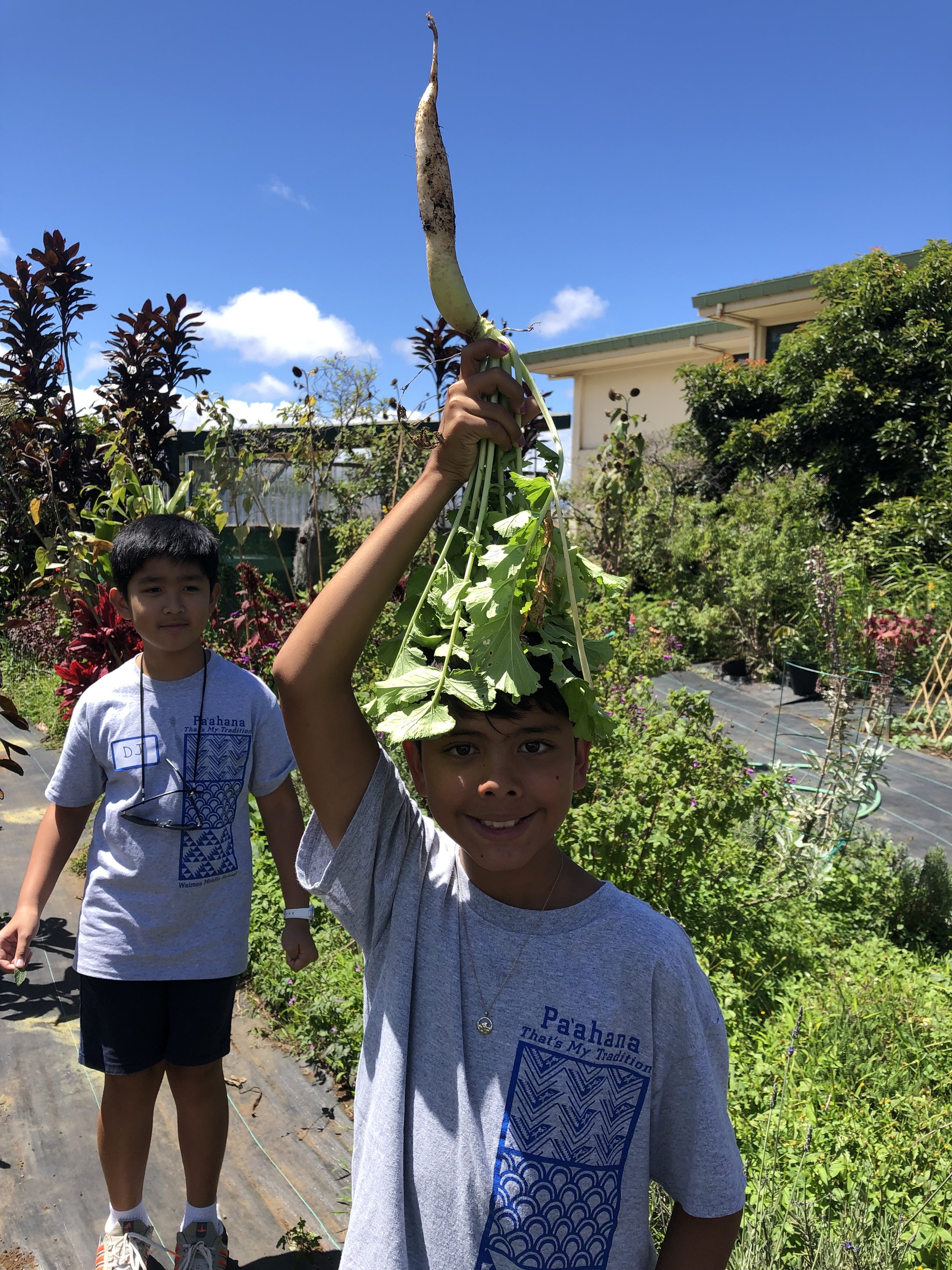 6th GO Radish Harvest.jpg