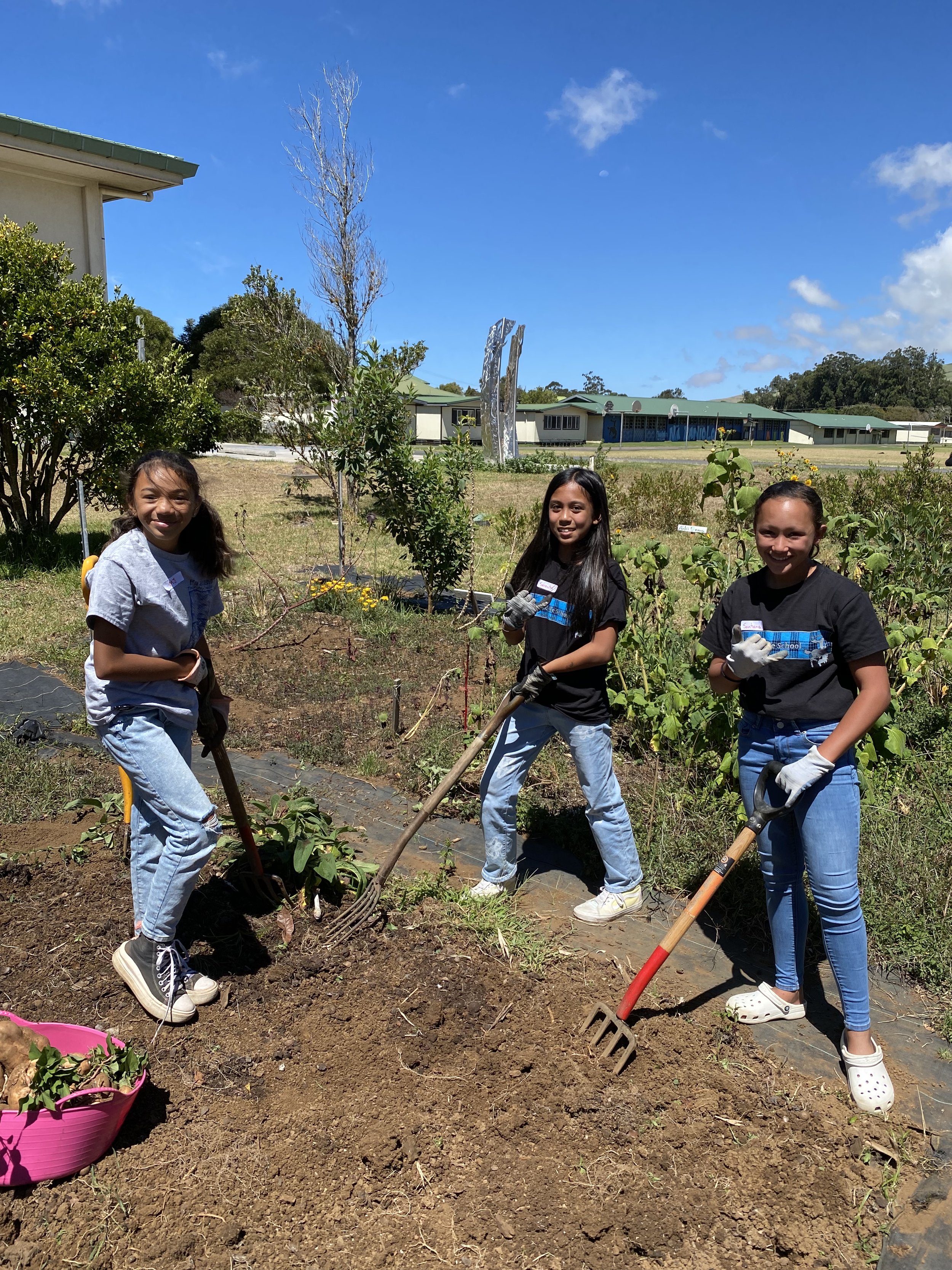 6th Gurls harvest uala.JPG