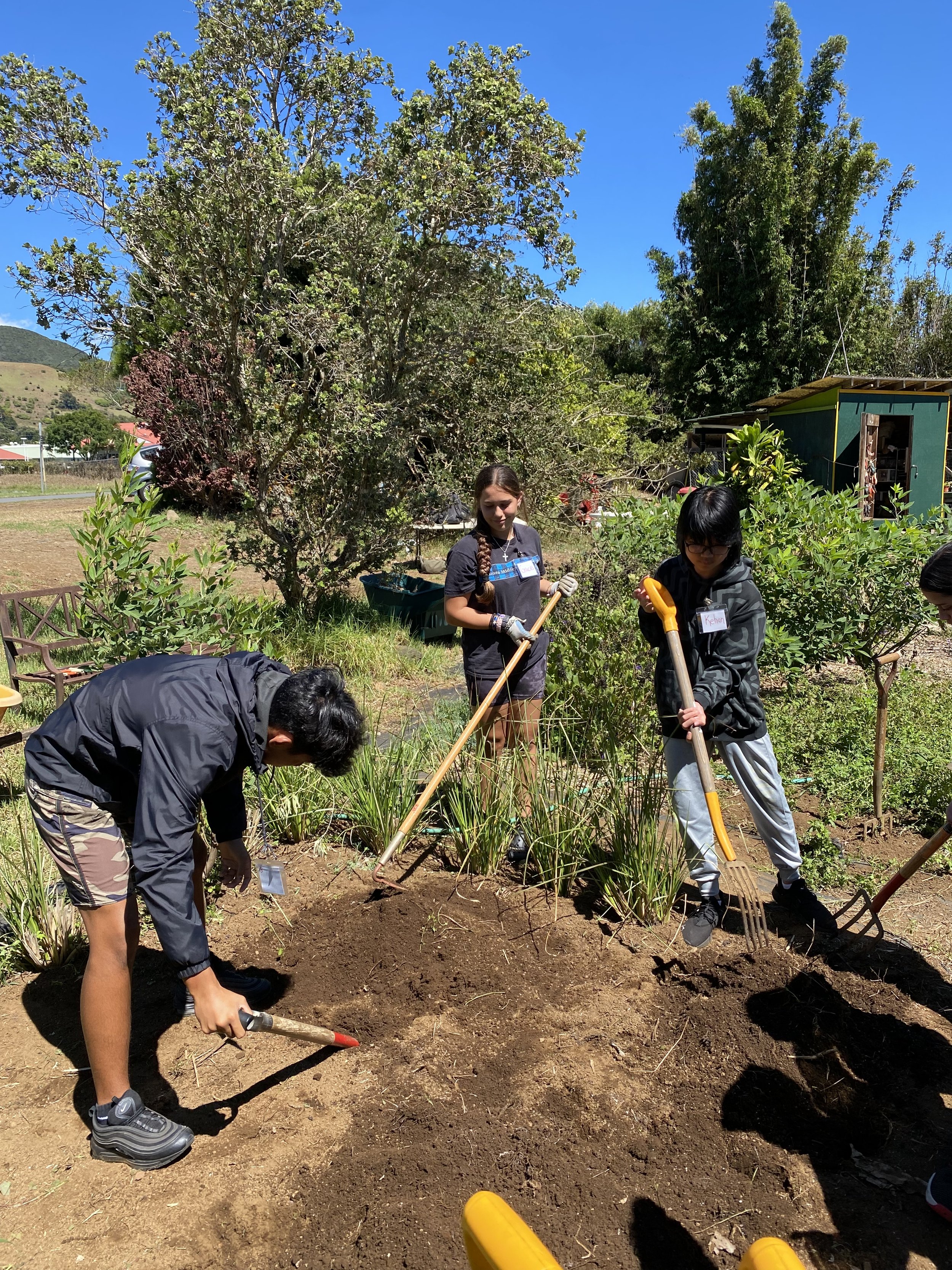 Onaka 8th bed cultivation.JPG