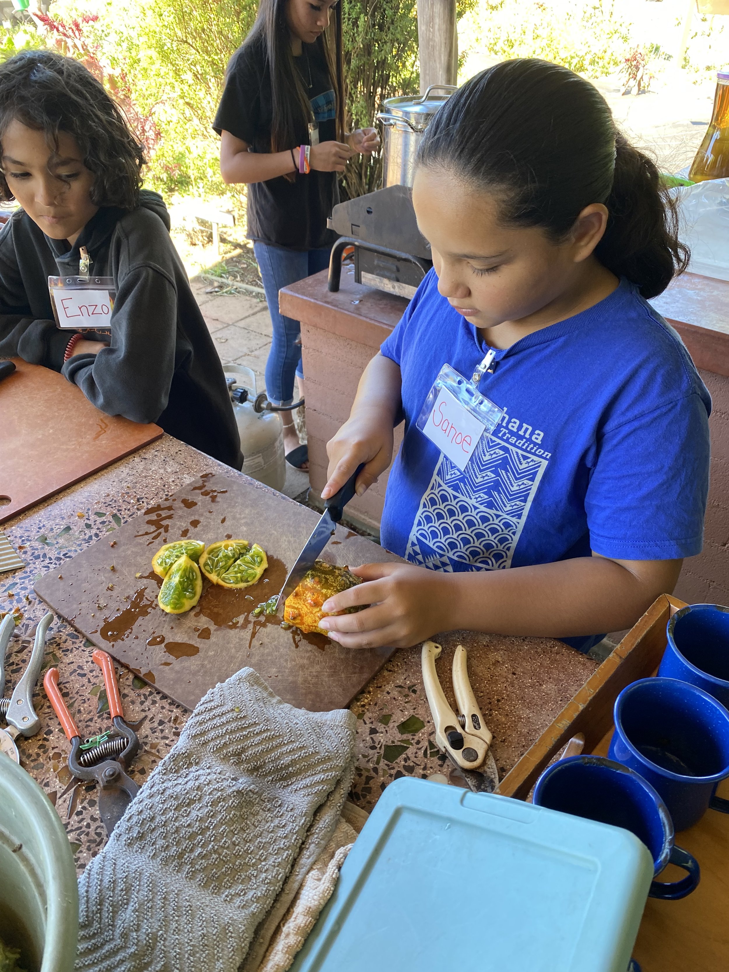 sanoe cutting kiwano.jpg