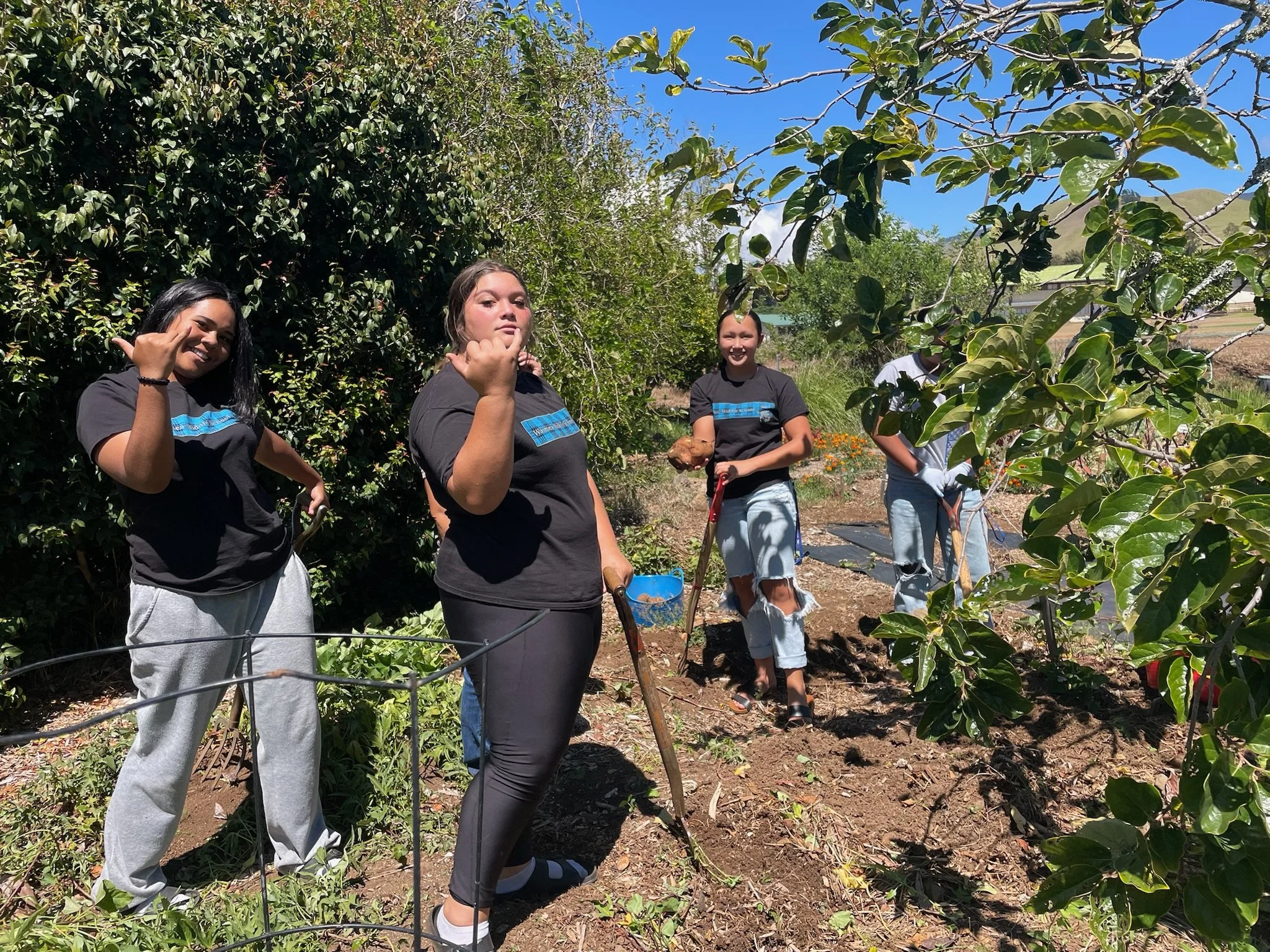 IMG_7060.jpg
