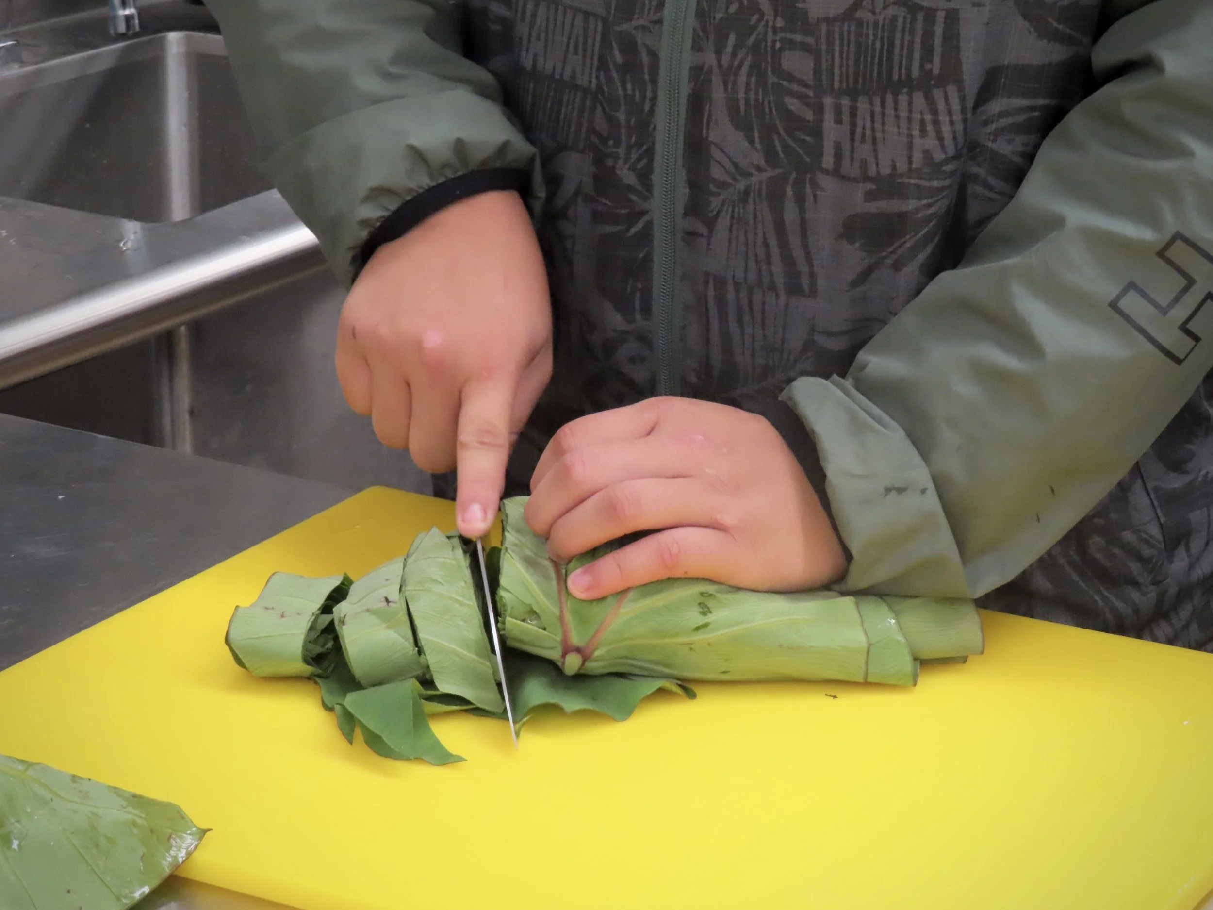 Planting Seeds of Stewardship