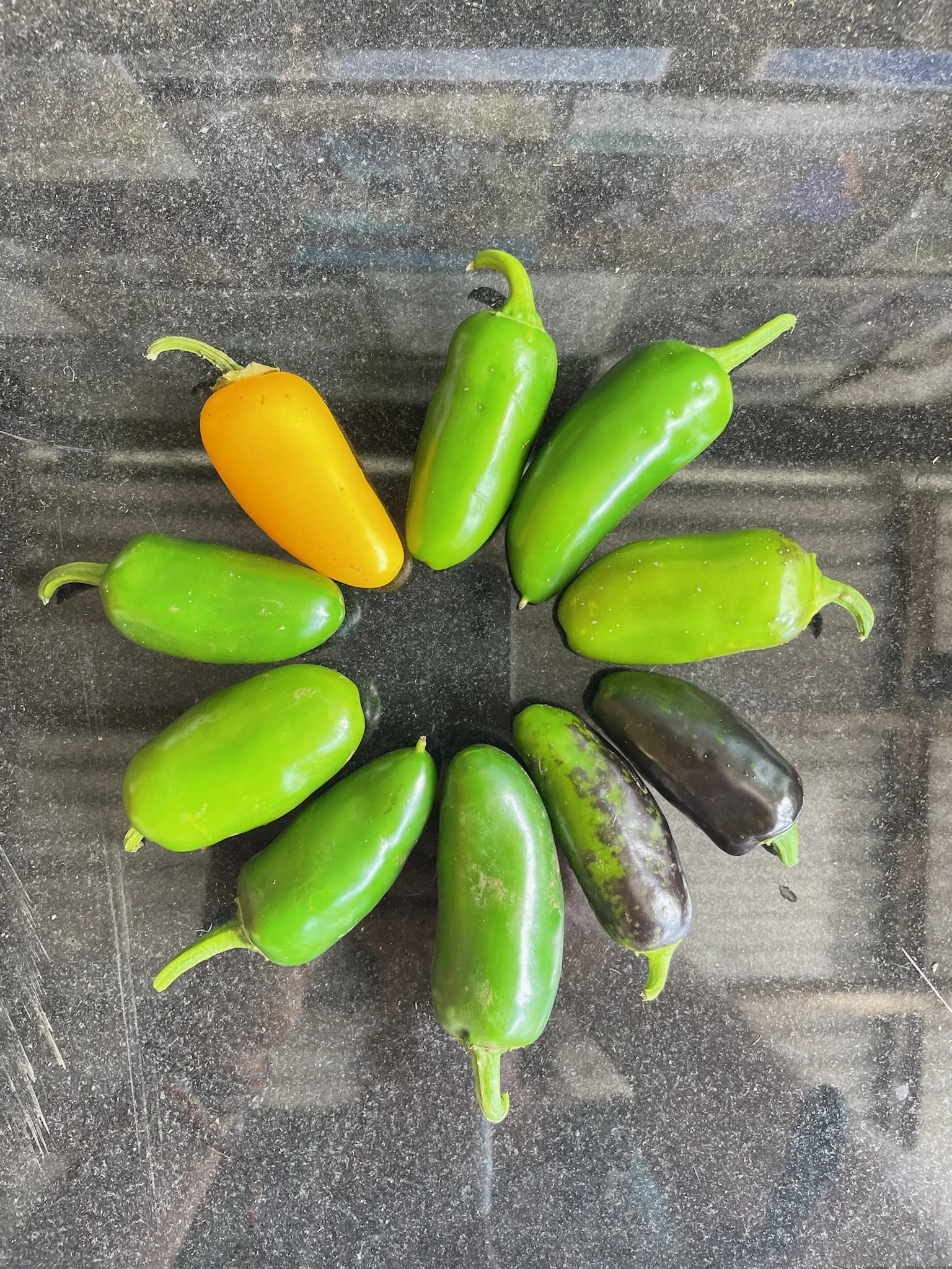 August Community Workday w/Cooking Workshop