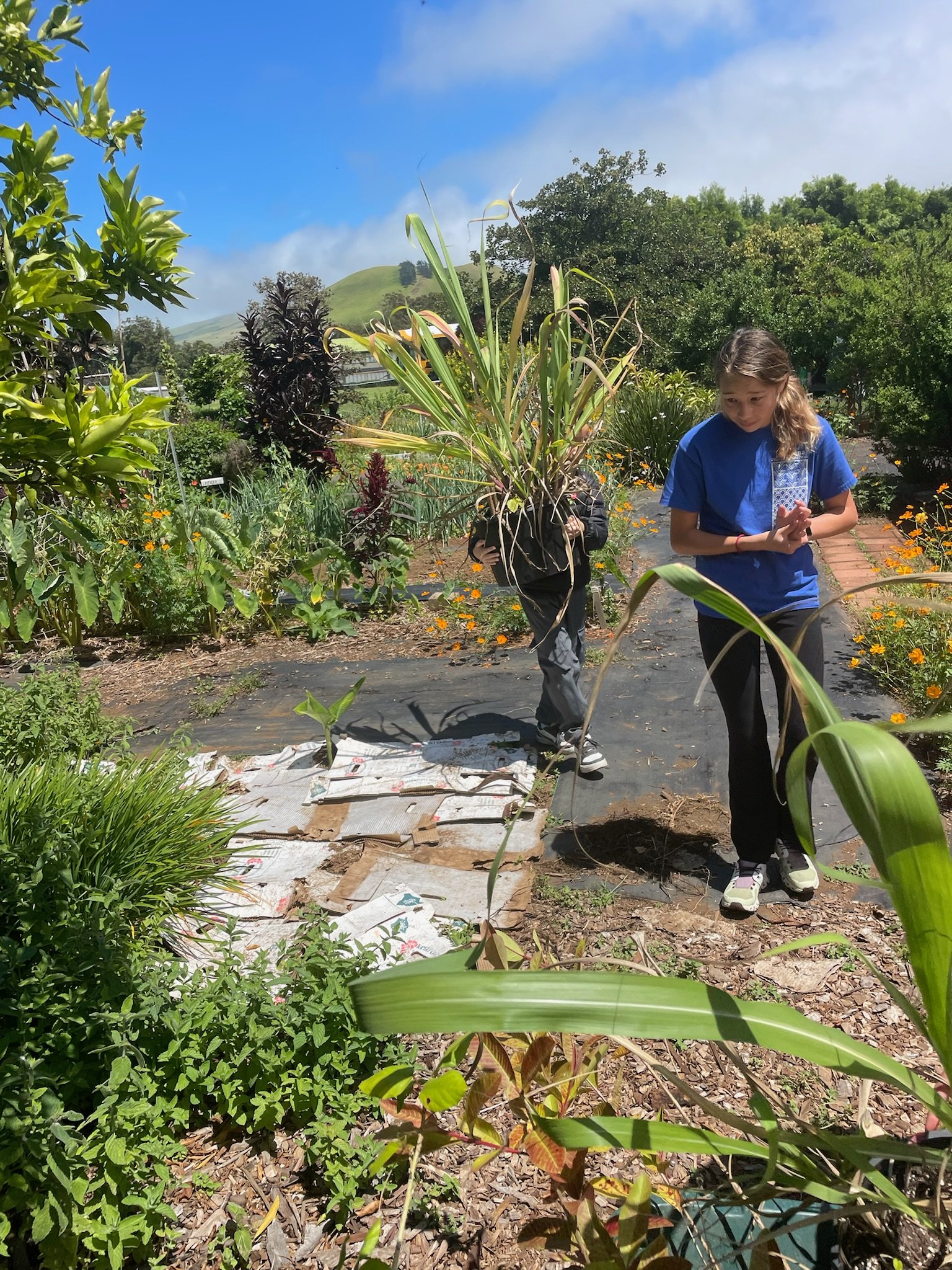 IMG_9229.jpg