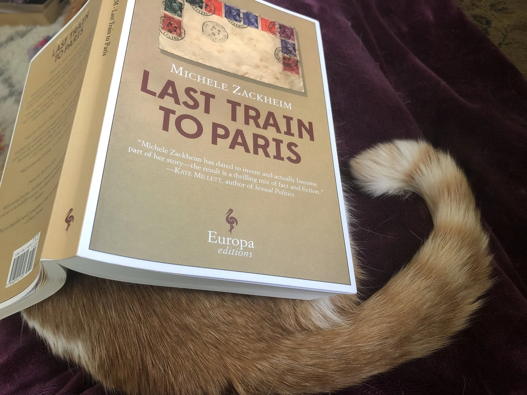 book: Last Train to Paris