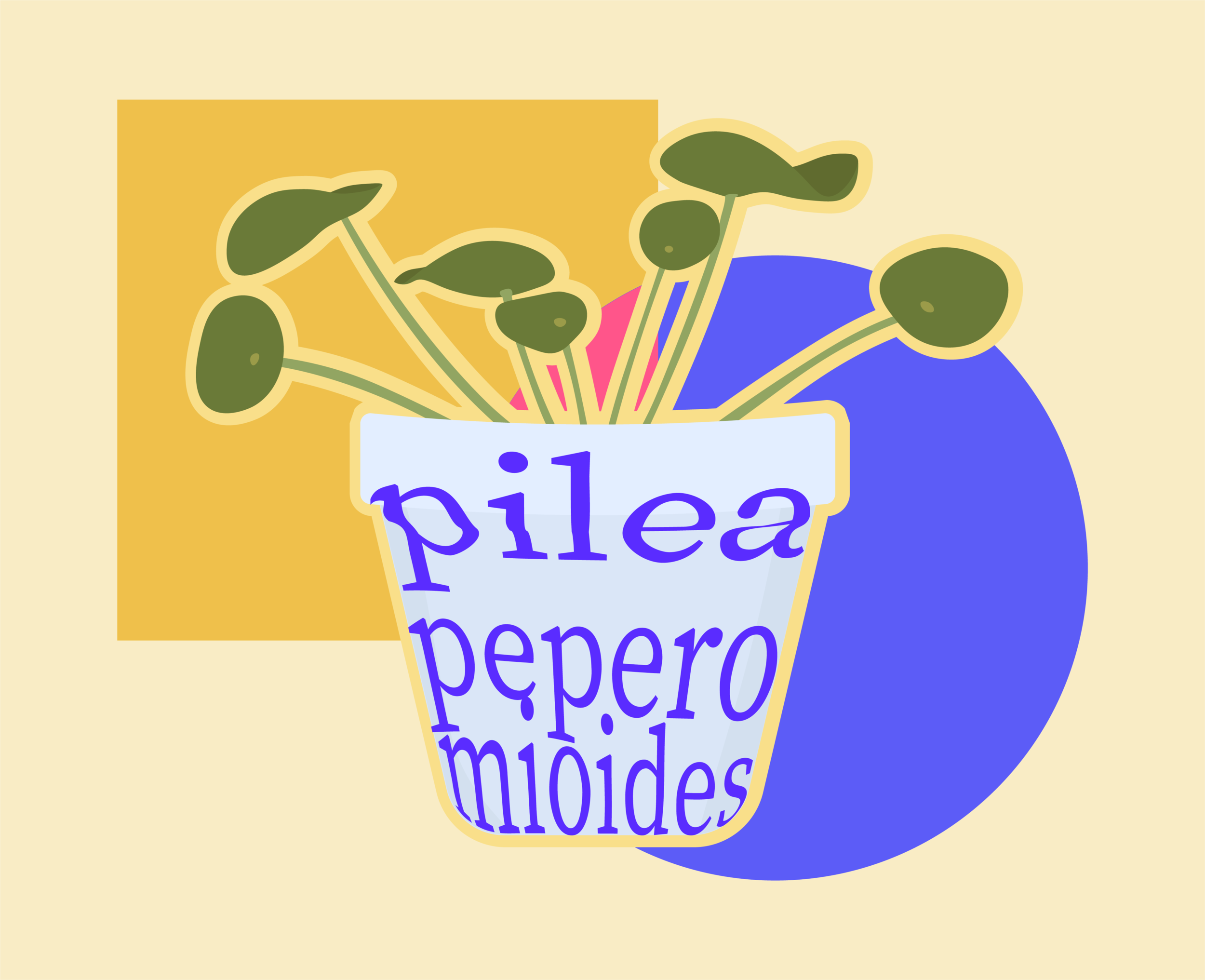 moneyplant.png