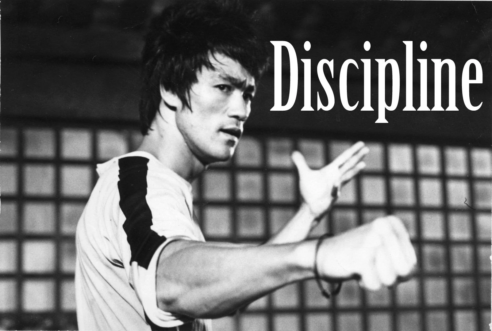 Discipline