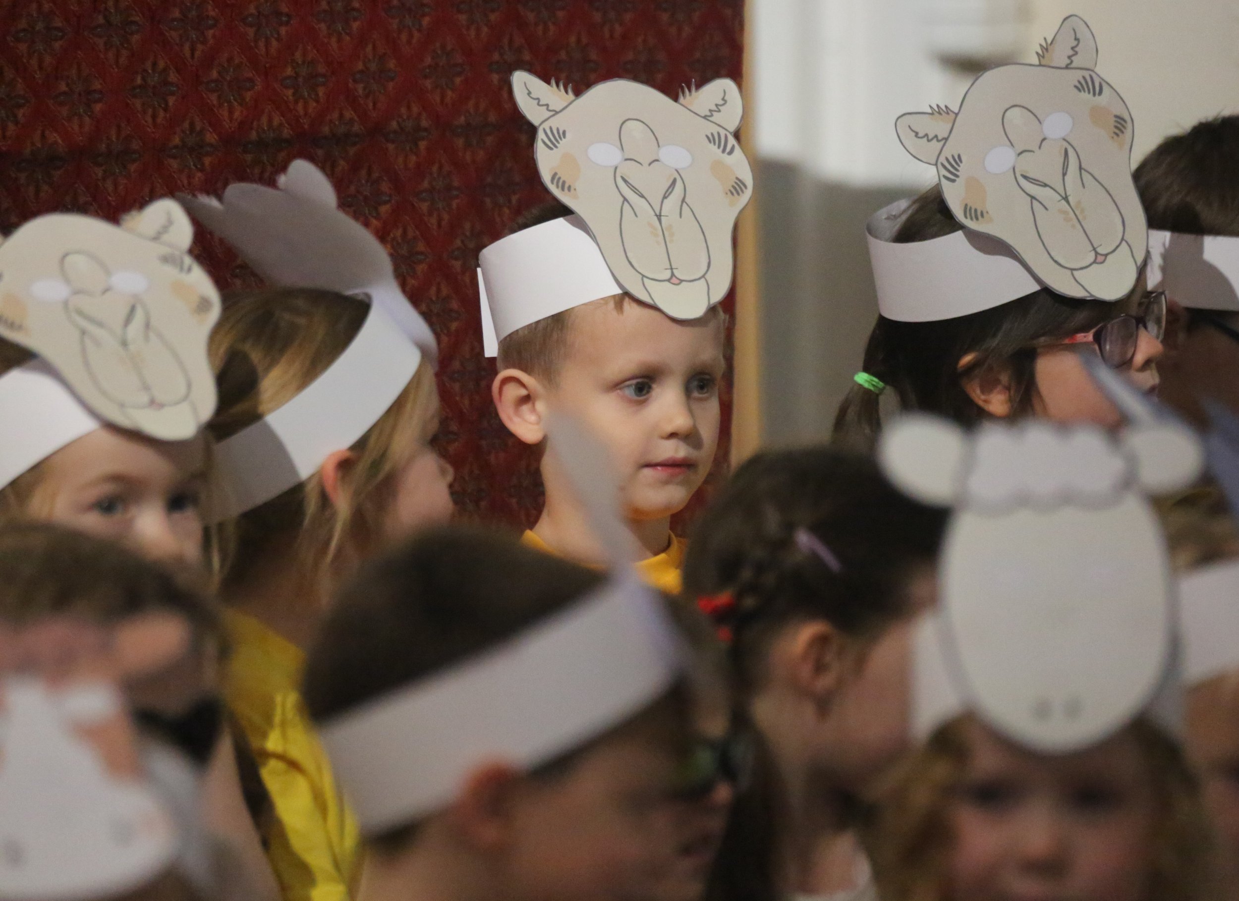 9M3A0460 cropped.JPG