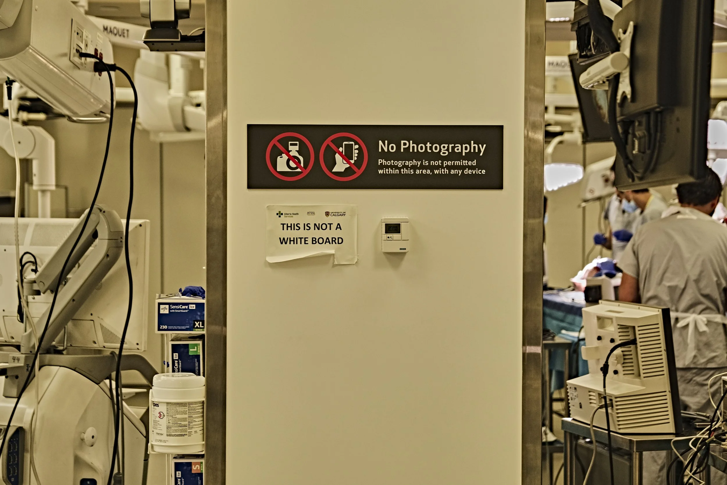 First time in a cadaver lab