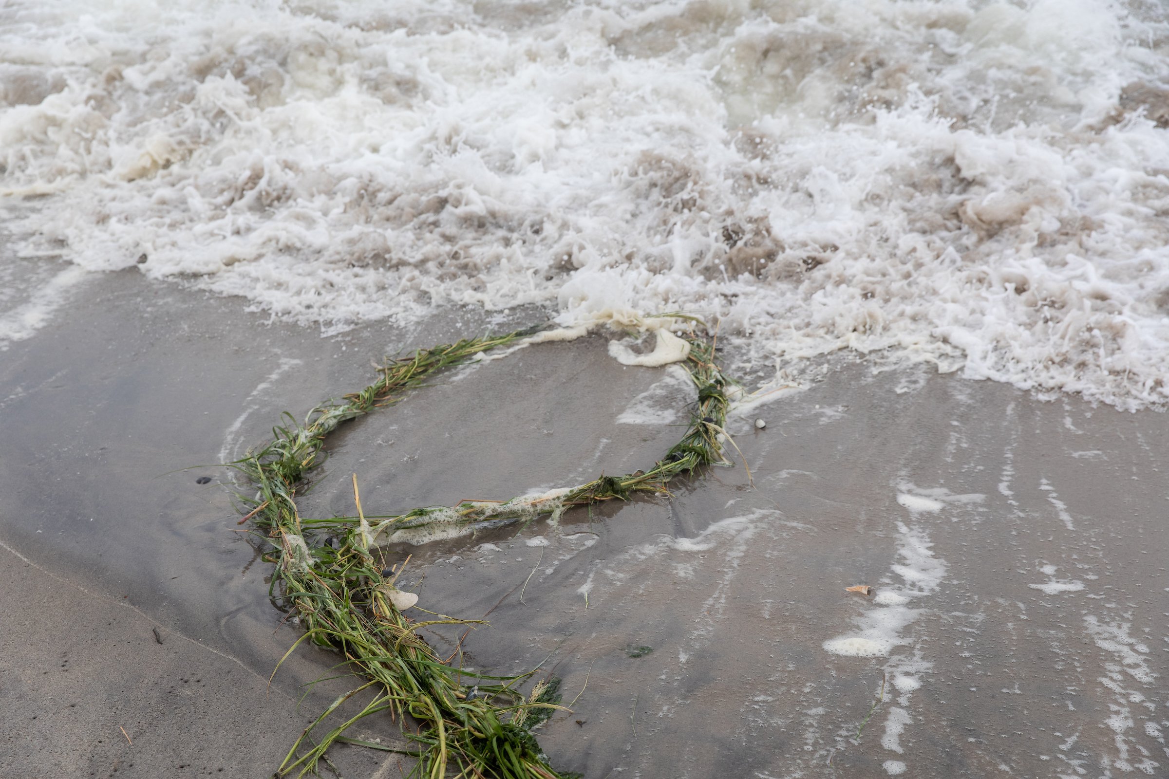 Releasea is taken by the tide. Photo by Walter Wlodarczyk