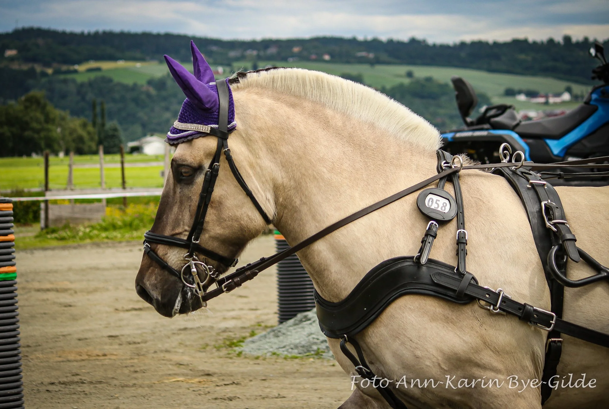 LH1A0338Til FB-2048.jpg