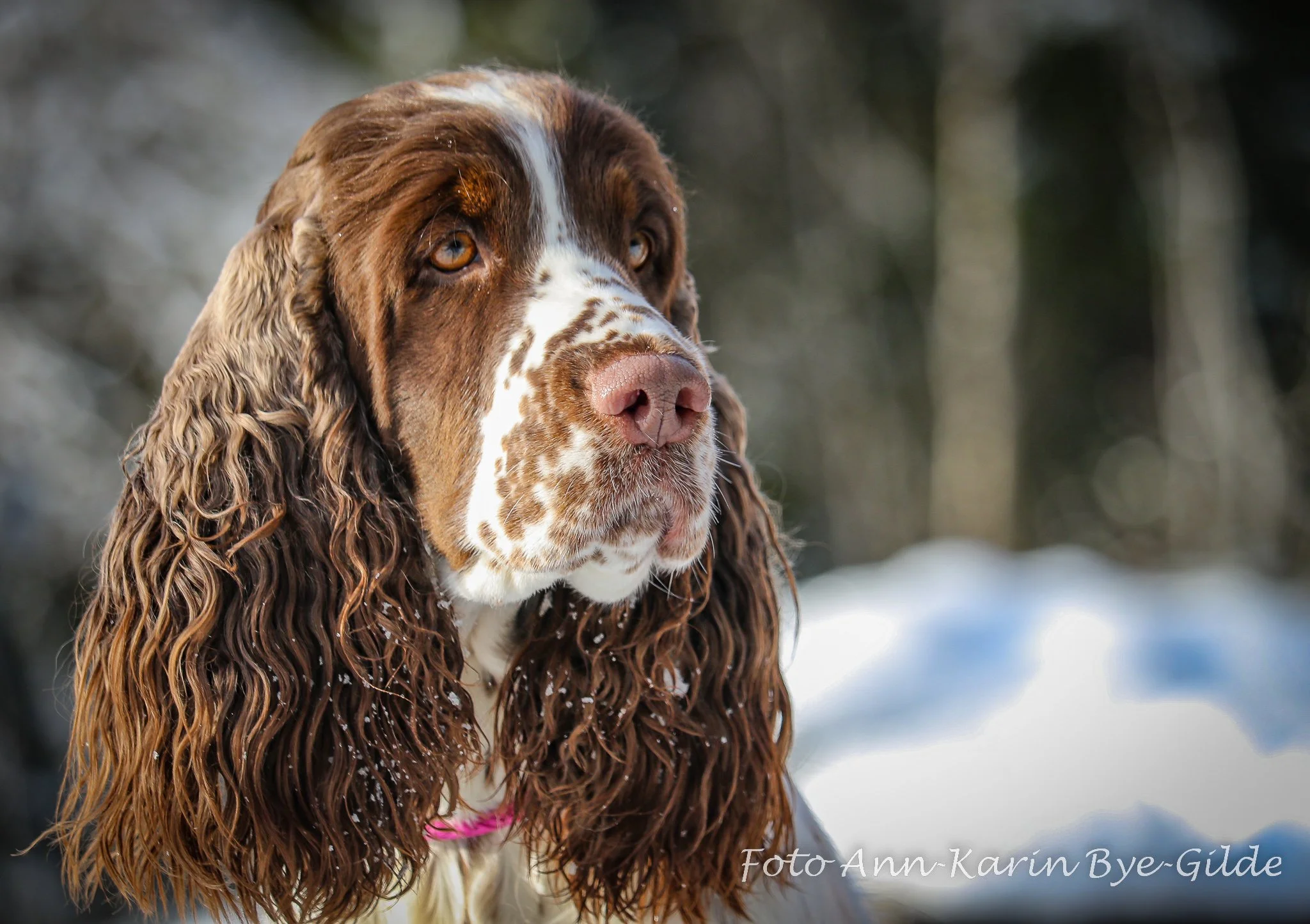 LH1A1755Til FB-2048.jpg