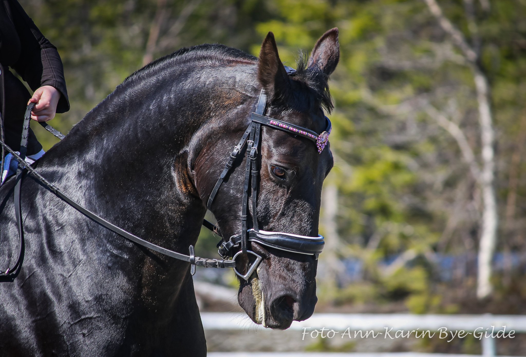 LH1A1122Til FB-2048-cl.jpg