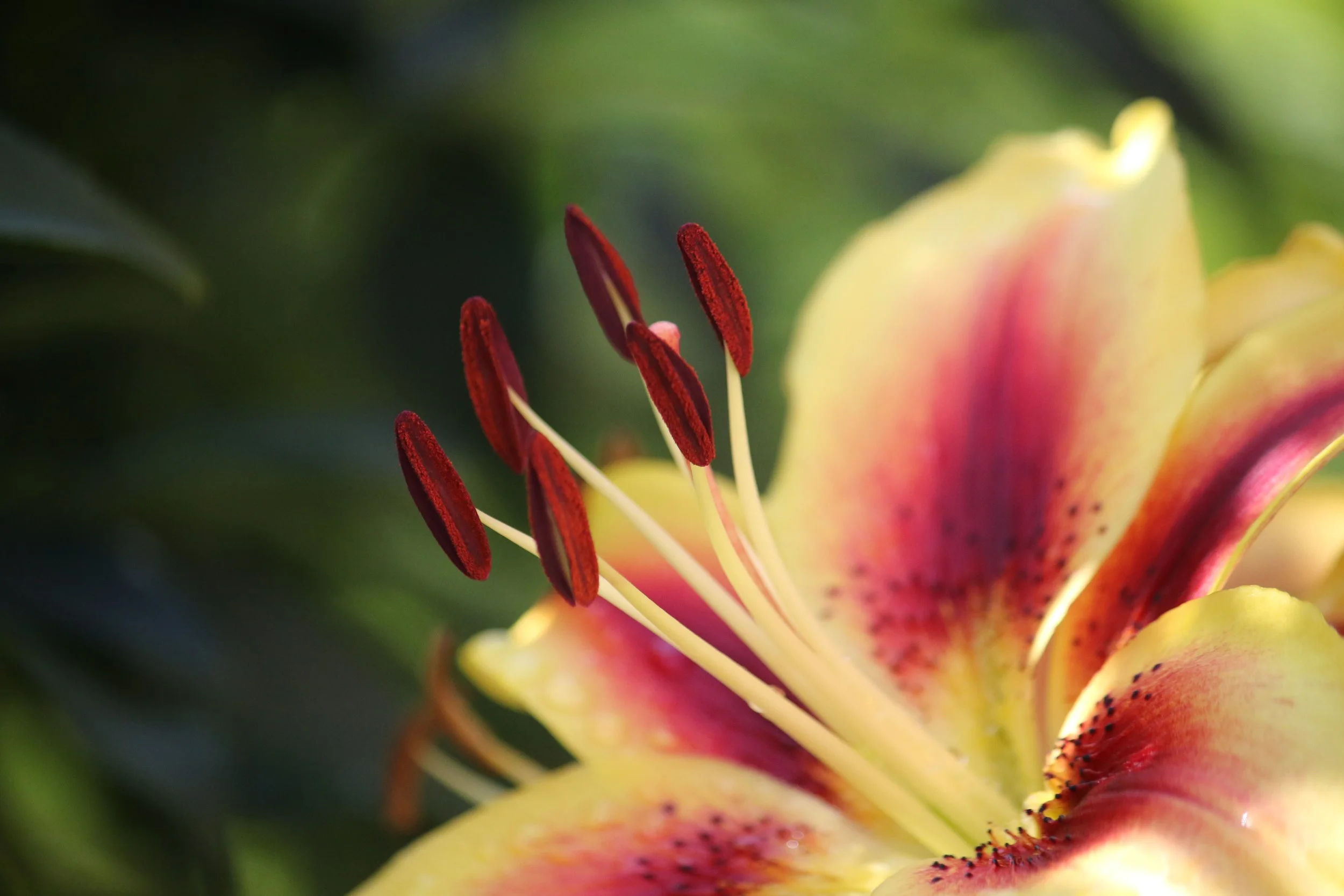 Flere teksteksempler kommer