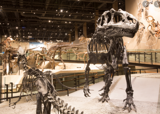 Natural History Museum of Utah 