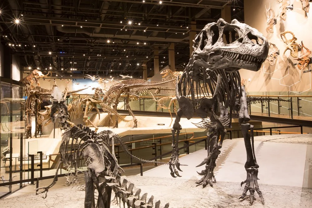 Natural History Museum of Utah 