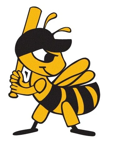 Salt Lake Bees 
