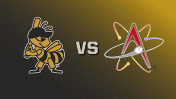 Salt Lake Bees