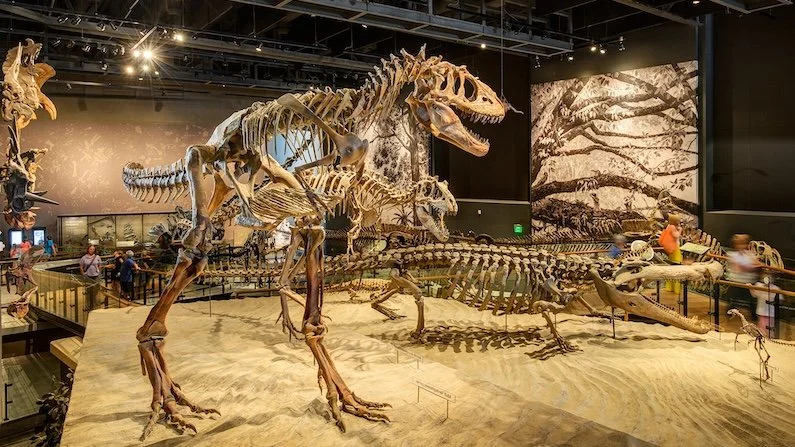 Natural History Museum of Utah