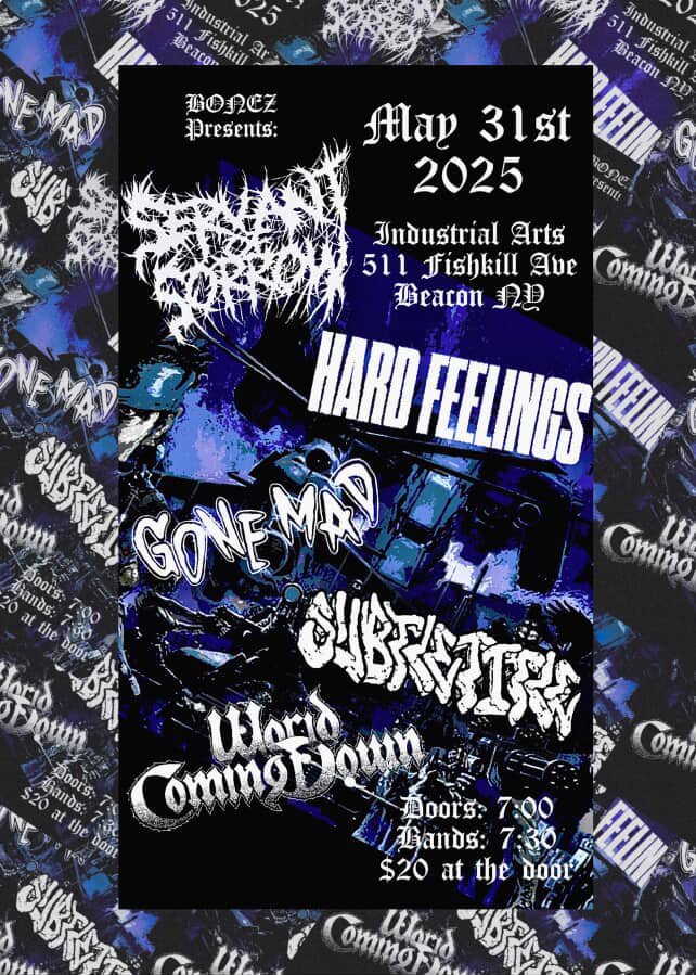 LIVE MUSIC: Servant of Sorrow, World Coming Down, Gone Mad, Ape Metro, Subtletitle