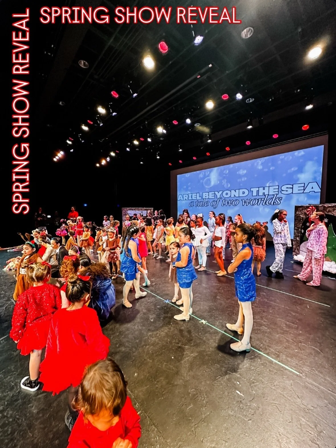 Twas the night before the new year and we have an announcement&hellip; HAVE YOU HEARD?!💭📣 If you were not at our Winter Show a few weeks ago, you may have missed the news&hellip; Our spring show theme has been revealed! 

🐠🧜🏻&zwj;♀️🐙🦀🐡🪼🪸🏝️