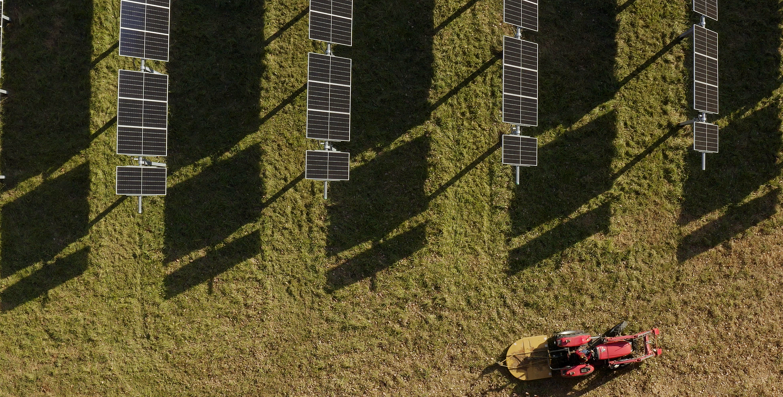 Client: BlueWave Solar
Production Company: ALL OF US FILMS
Producer: Tillie Simon
