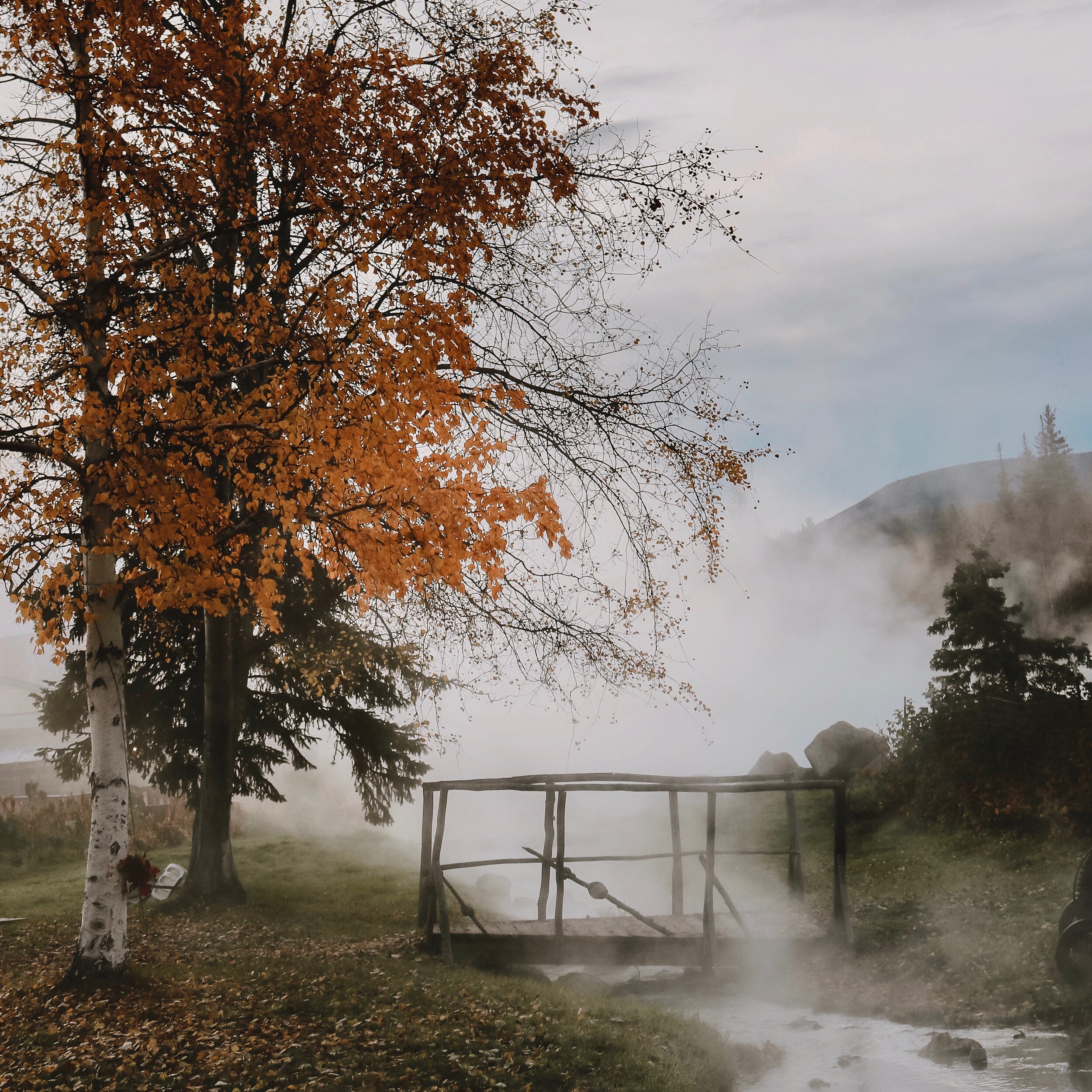 CHENA HOT SPRINGS.jpg