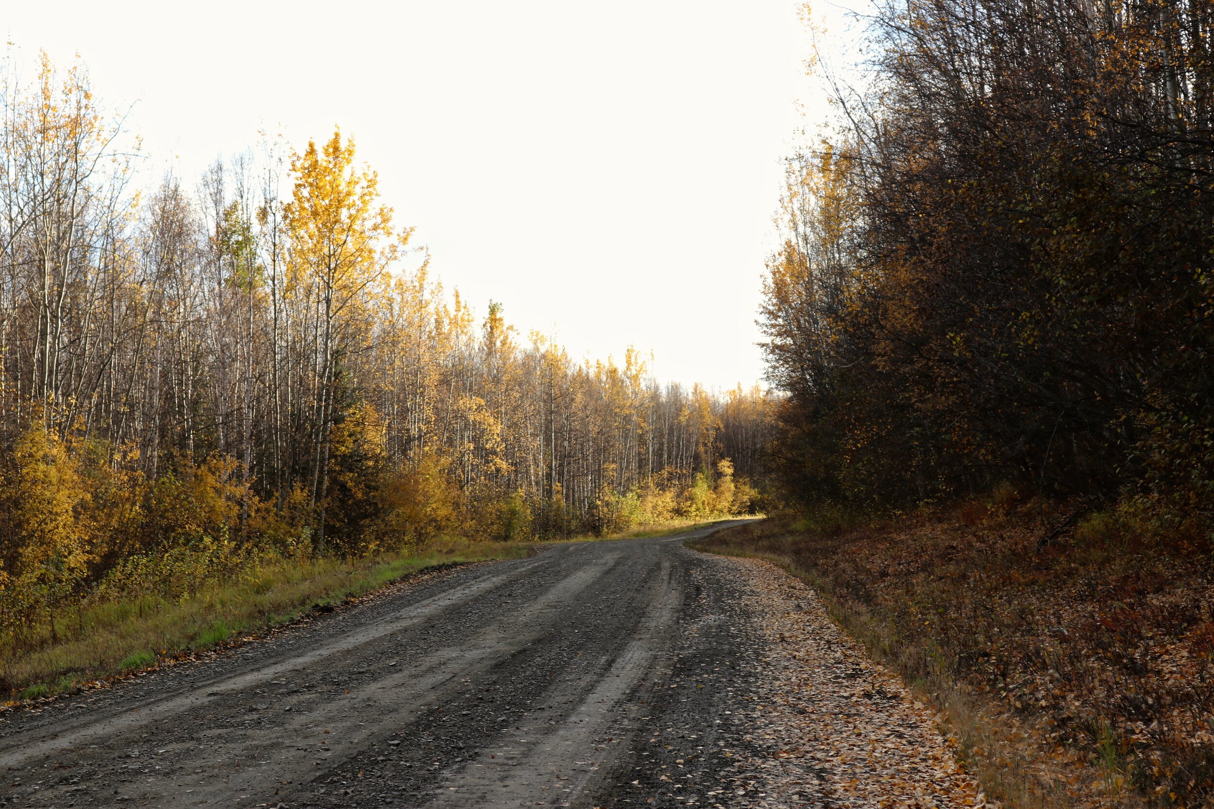 ALASKA IN FALL.jpg