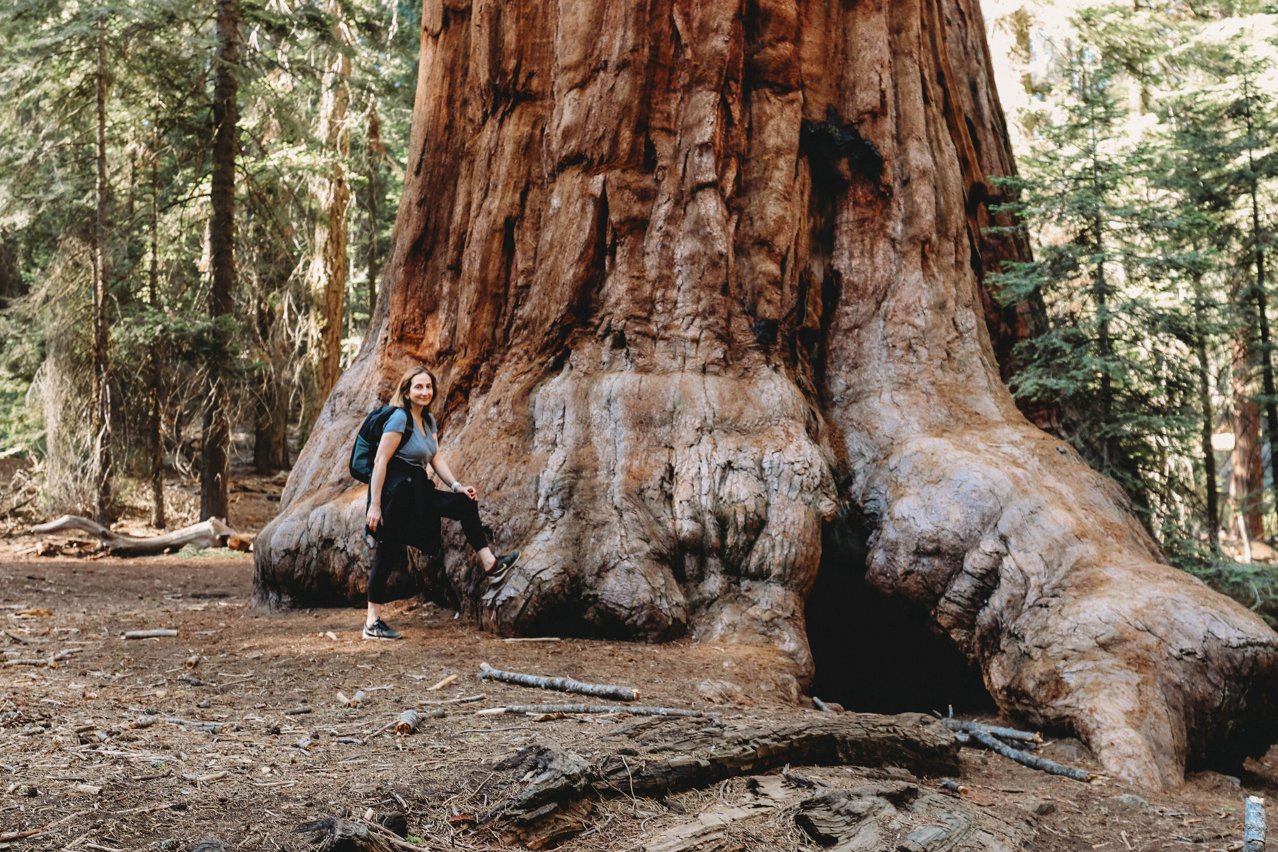 Sequoia National Park.jpeg