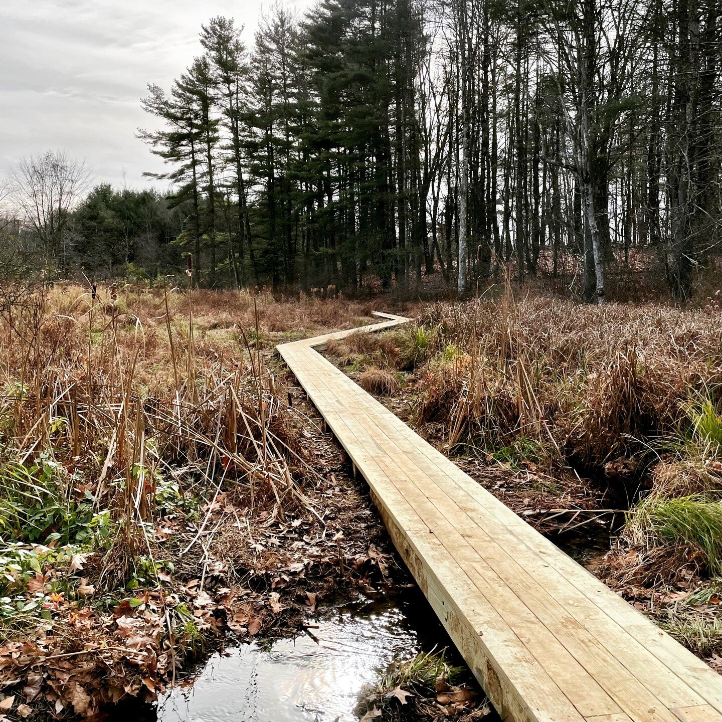 Bog-bridging serves as a beautiful statement piece for your backyard landscape.

All our bog-bridges are completely custom and designed to nestle seamlessly into the surroundings with minimal impact. This particular project gave the home owners acces