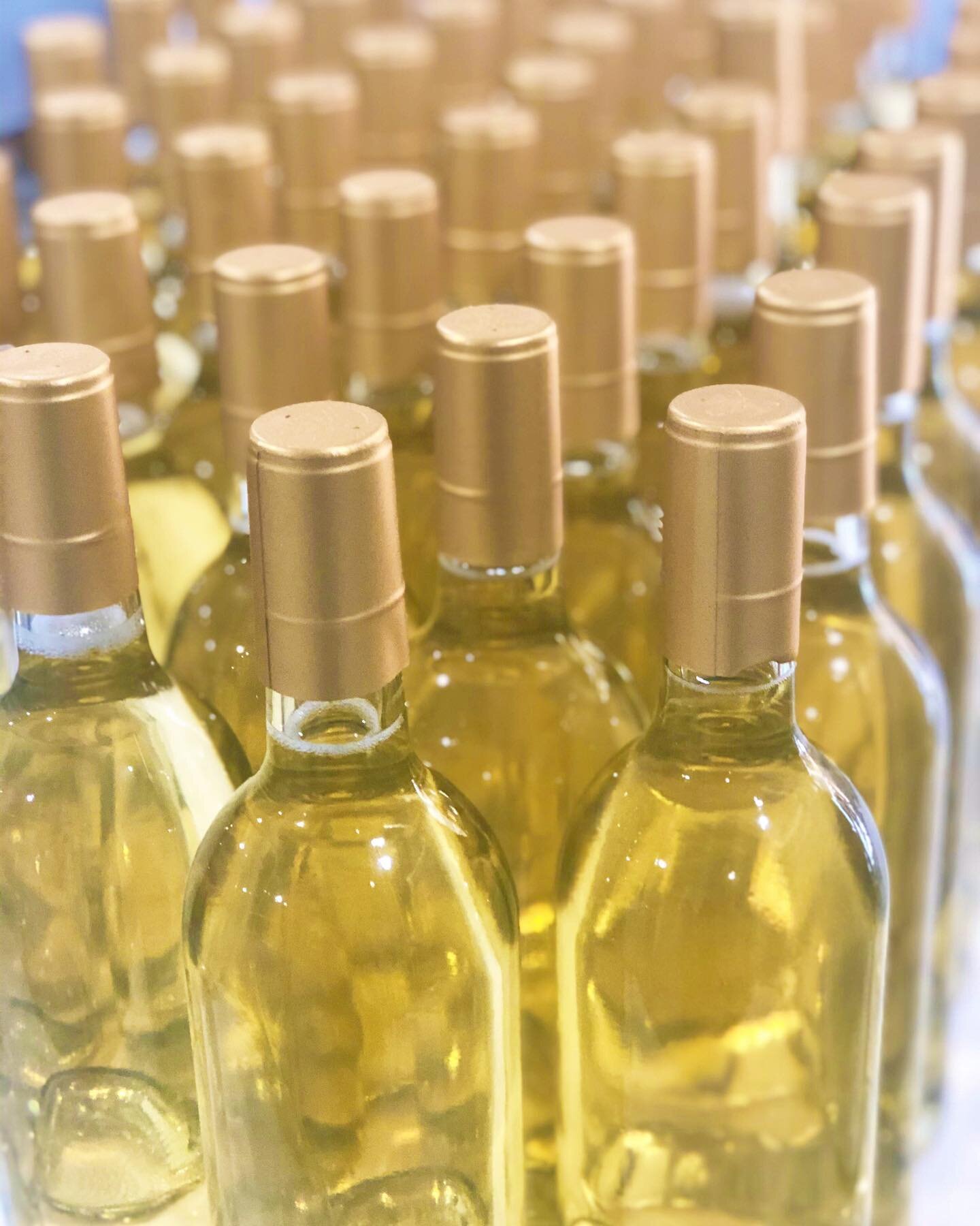2018 Sauvignon Blanc bottled ✔️ For this varietal we use &lsquo;Sur Lie&rsquo; aging during production (aka on the lees), a process which adds a lot of texture &amp; flavor to the wine! So, when you&rsquo;re sipping this fine wine- give a cheers to t