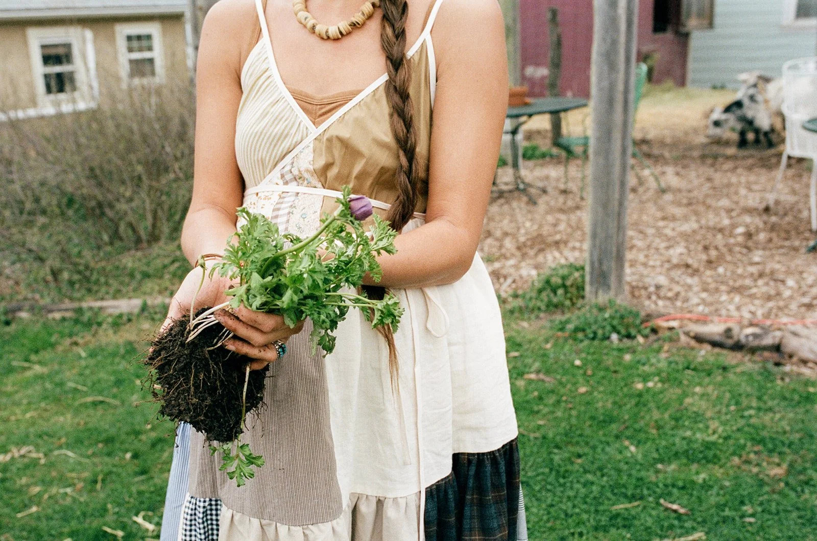 family in virginia-40.jpg