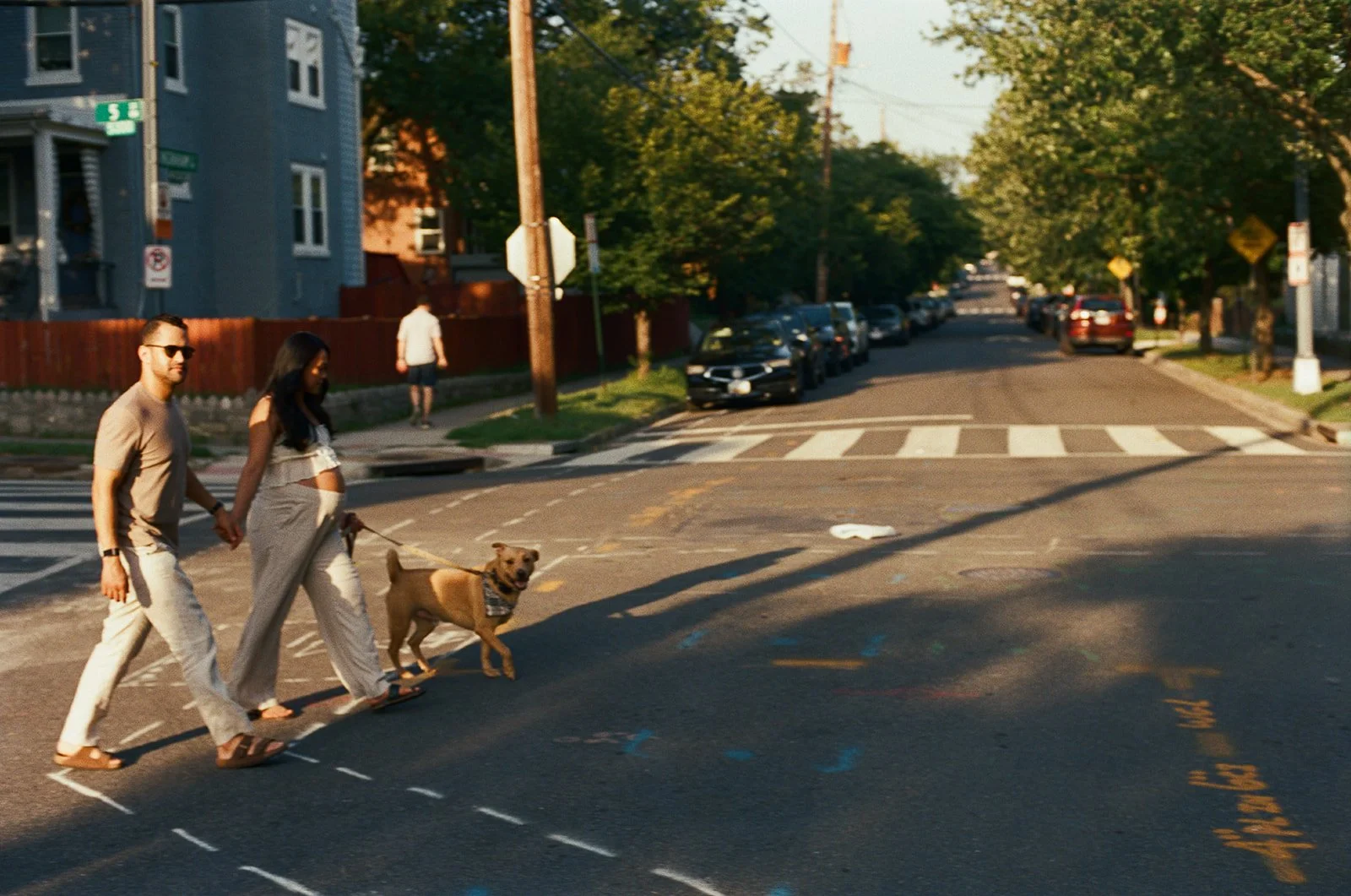 expecting parents walking their dog through a city intersection in the evening light 