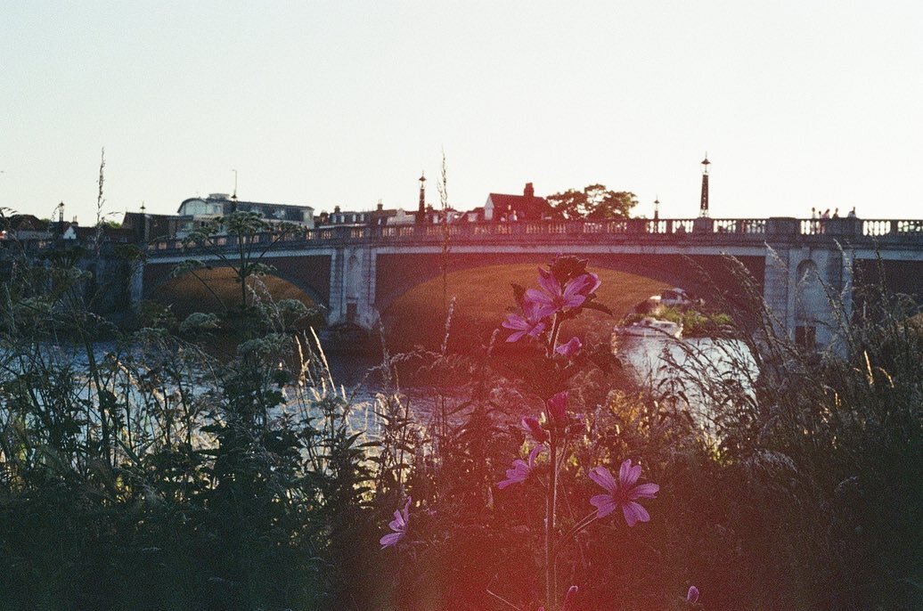 somewhere in london, on film (june 2022) 

&hearts;︎

canon ae-1