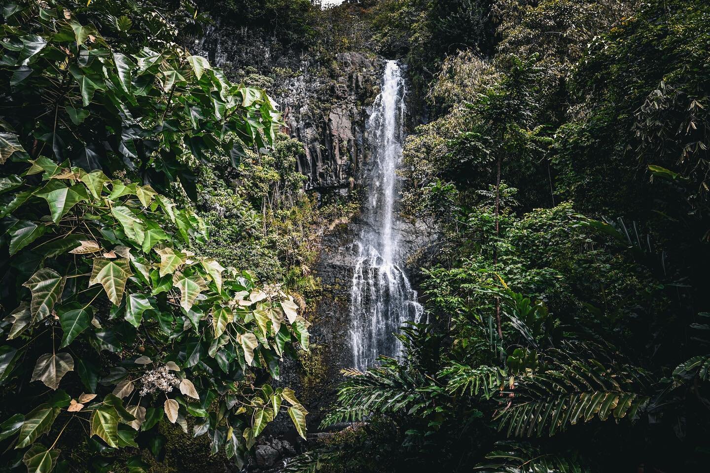 waterfall on the road to hana, maui ☀︎︎ april 2023

camera: nikon z5