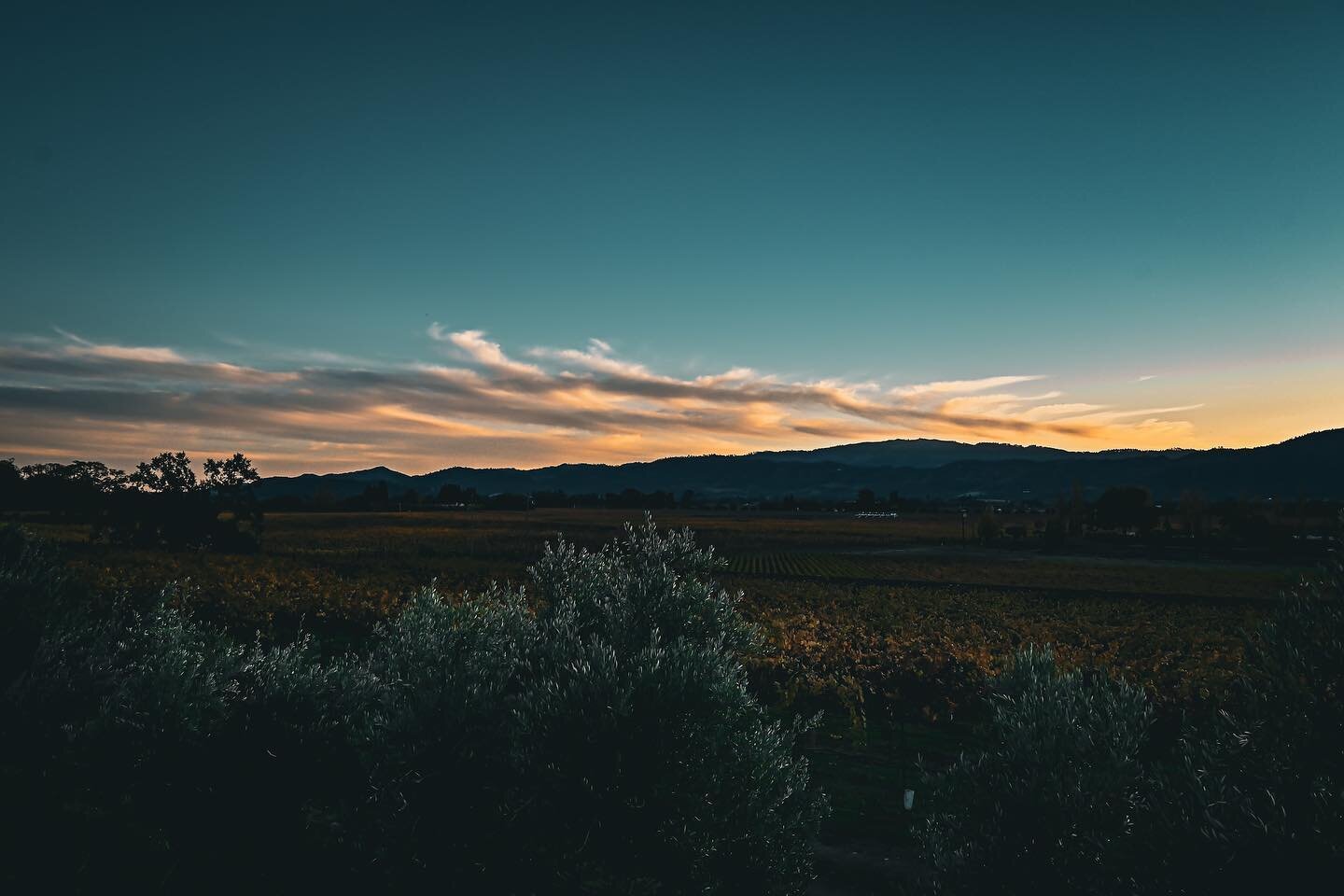 the sunset from somewhere on the silverado trail ☁︎︎ Napa Valley, CA (November, 2023)

&bull;

camera: nikon z5