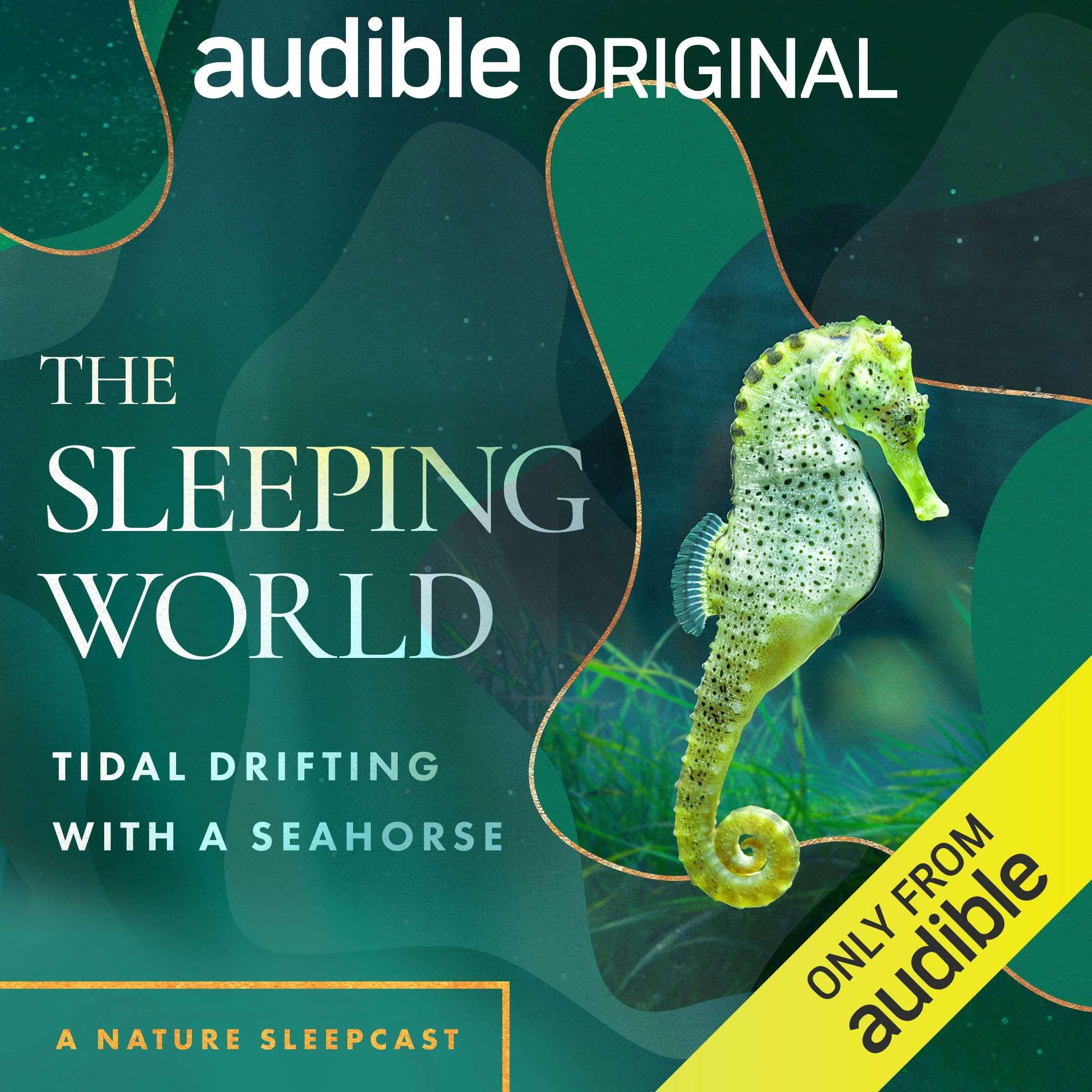 OR_ORIG_003475_Seahorse_SleepingWorld.jpg