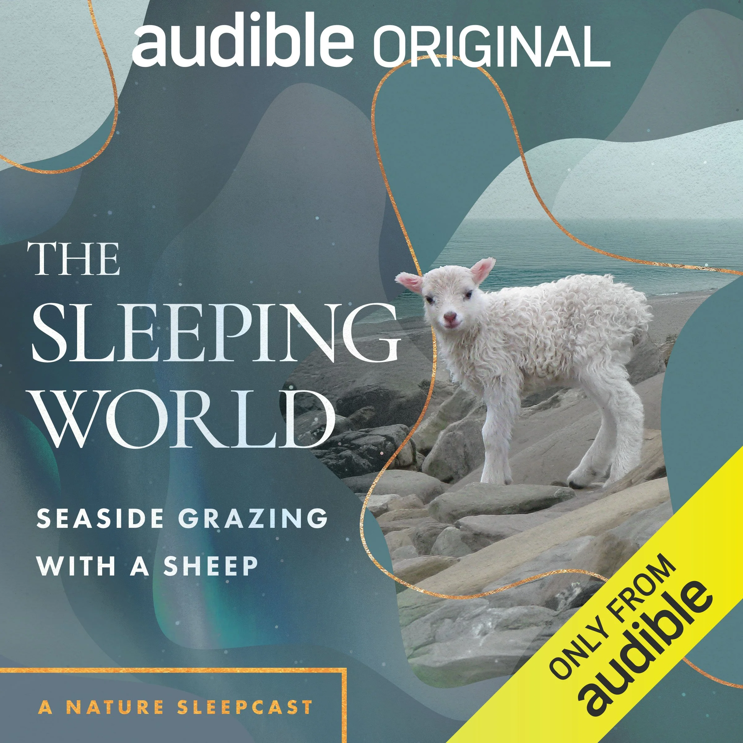OR_ORIG_003436_Sheep_SleepingWorld.jpg