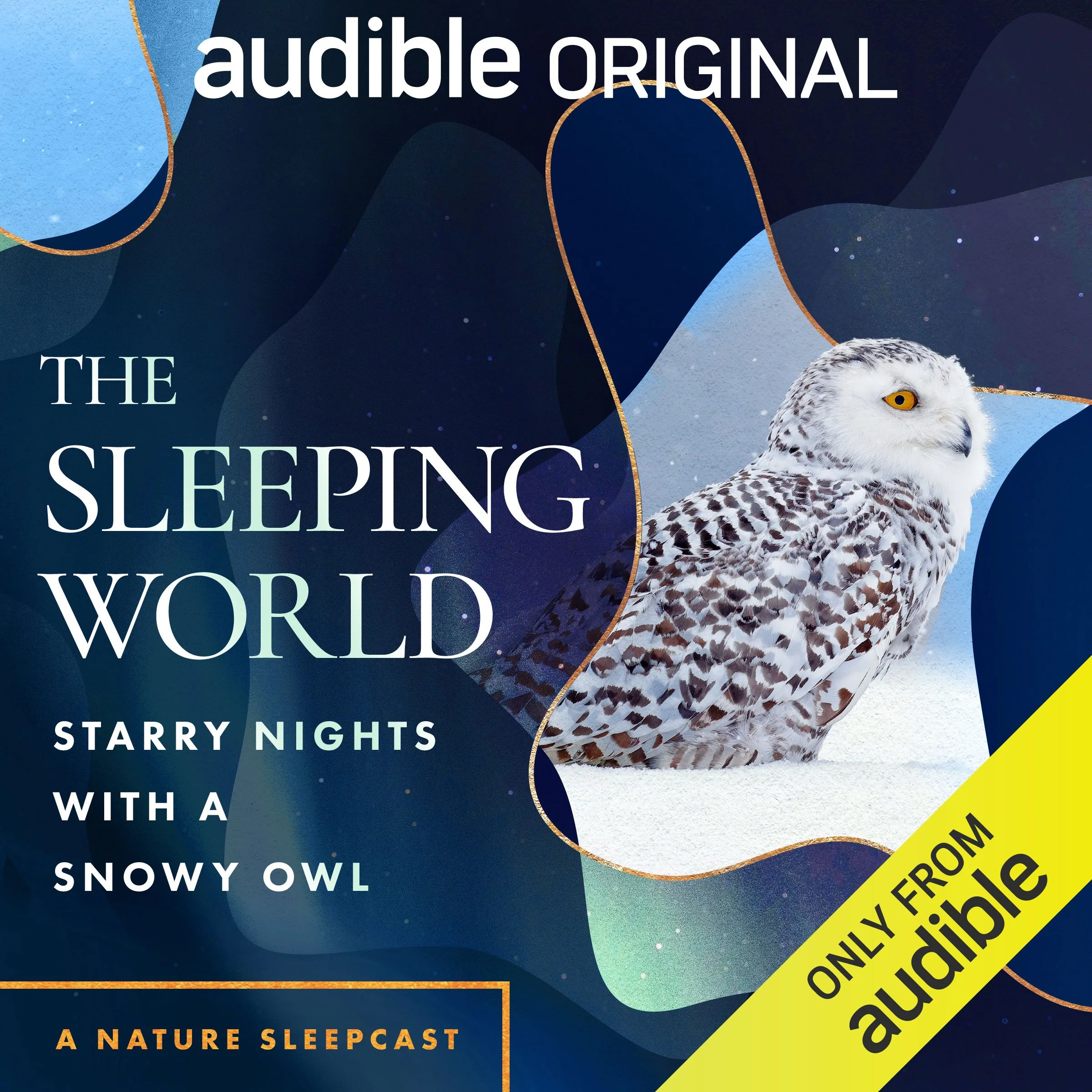 OR_ORIG_003476_SnowyOwl_SleepingWorld.jpg