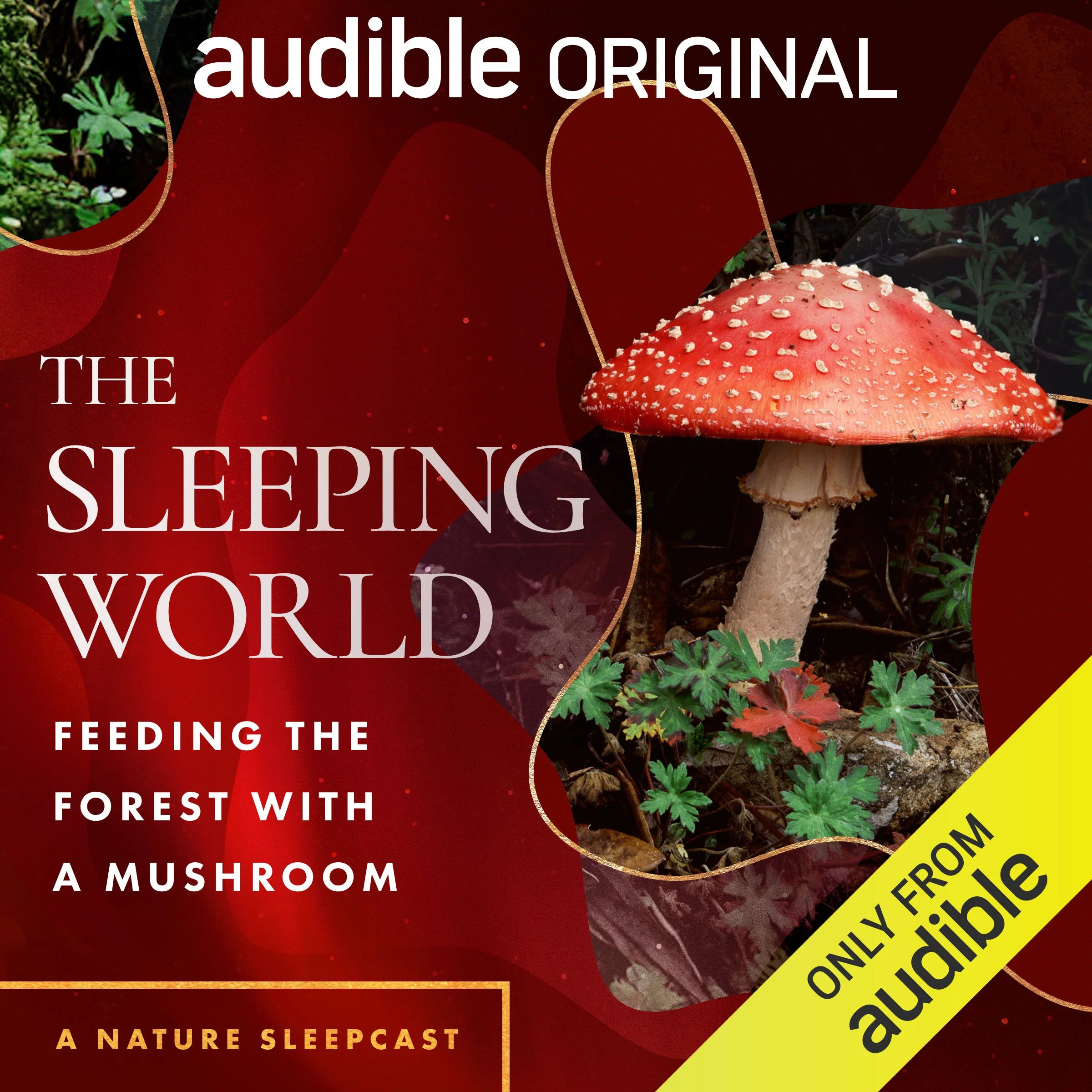OR_ORIG_003478_Mushroom_SleepingWorld.jpg