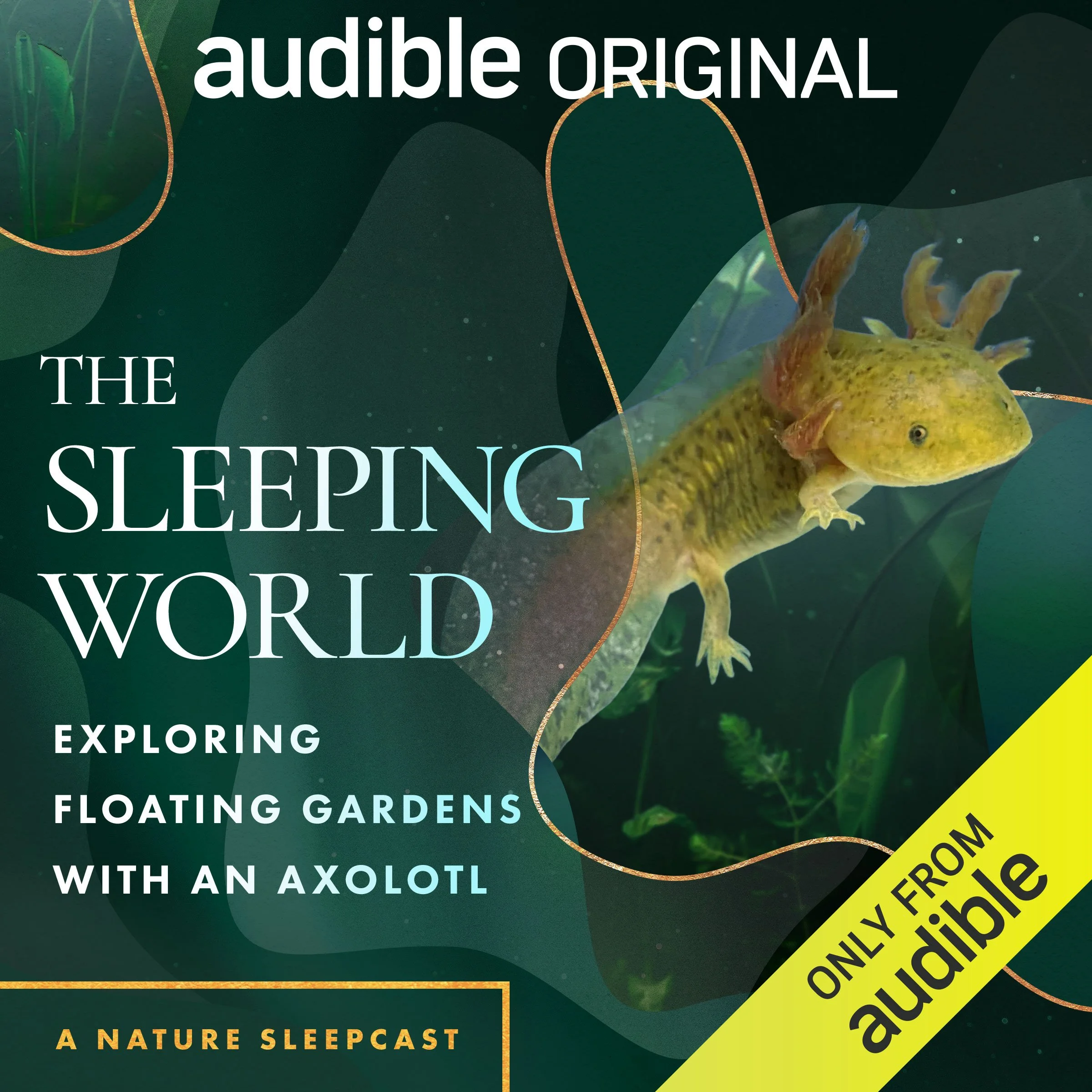 OR_ORIG_003480_Axolotl_SleepingWorld.jpg